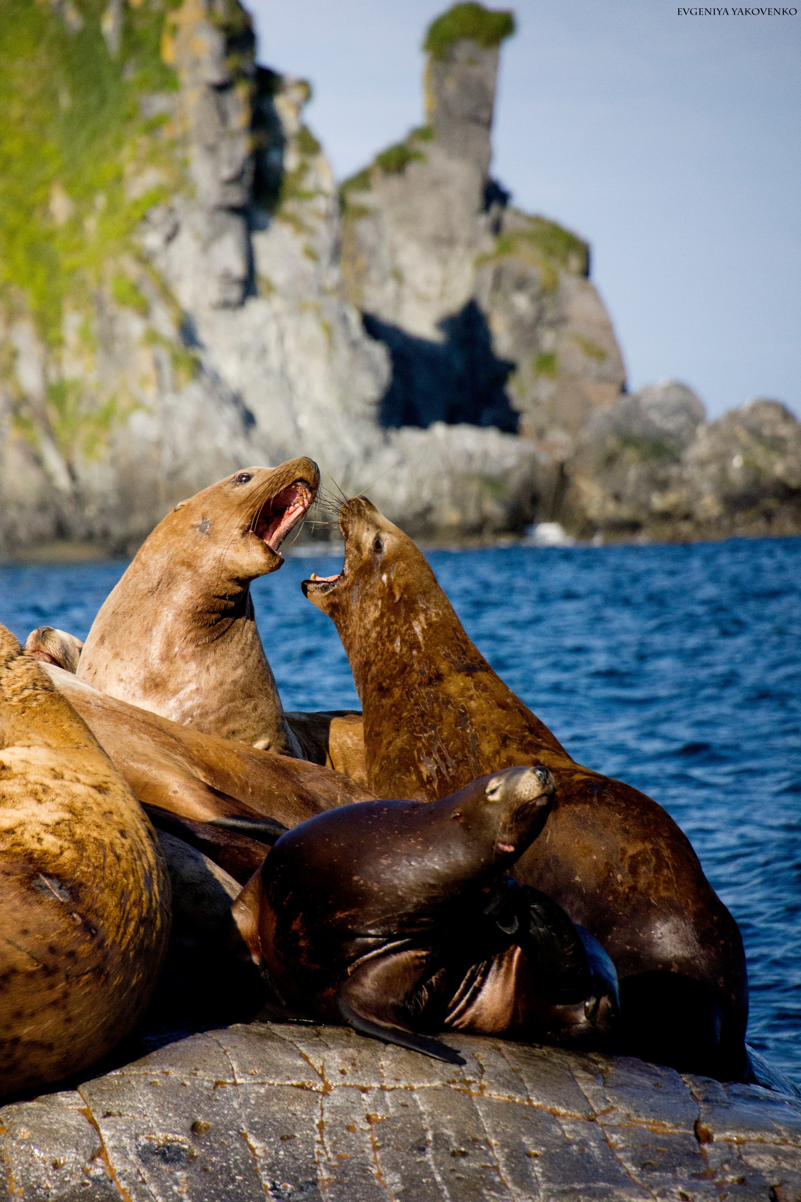 Камчатка, 2018. Портретный фотограф в Москве Евгения Яковенко