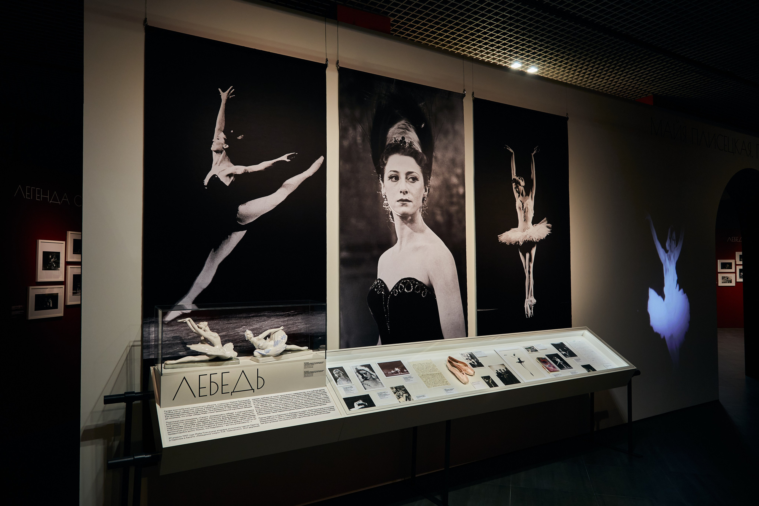 Выставка «Майя Плисецкая. Полюс магии». Даниил Гузиенко — репортажный фотограф в Туле