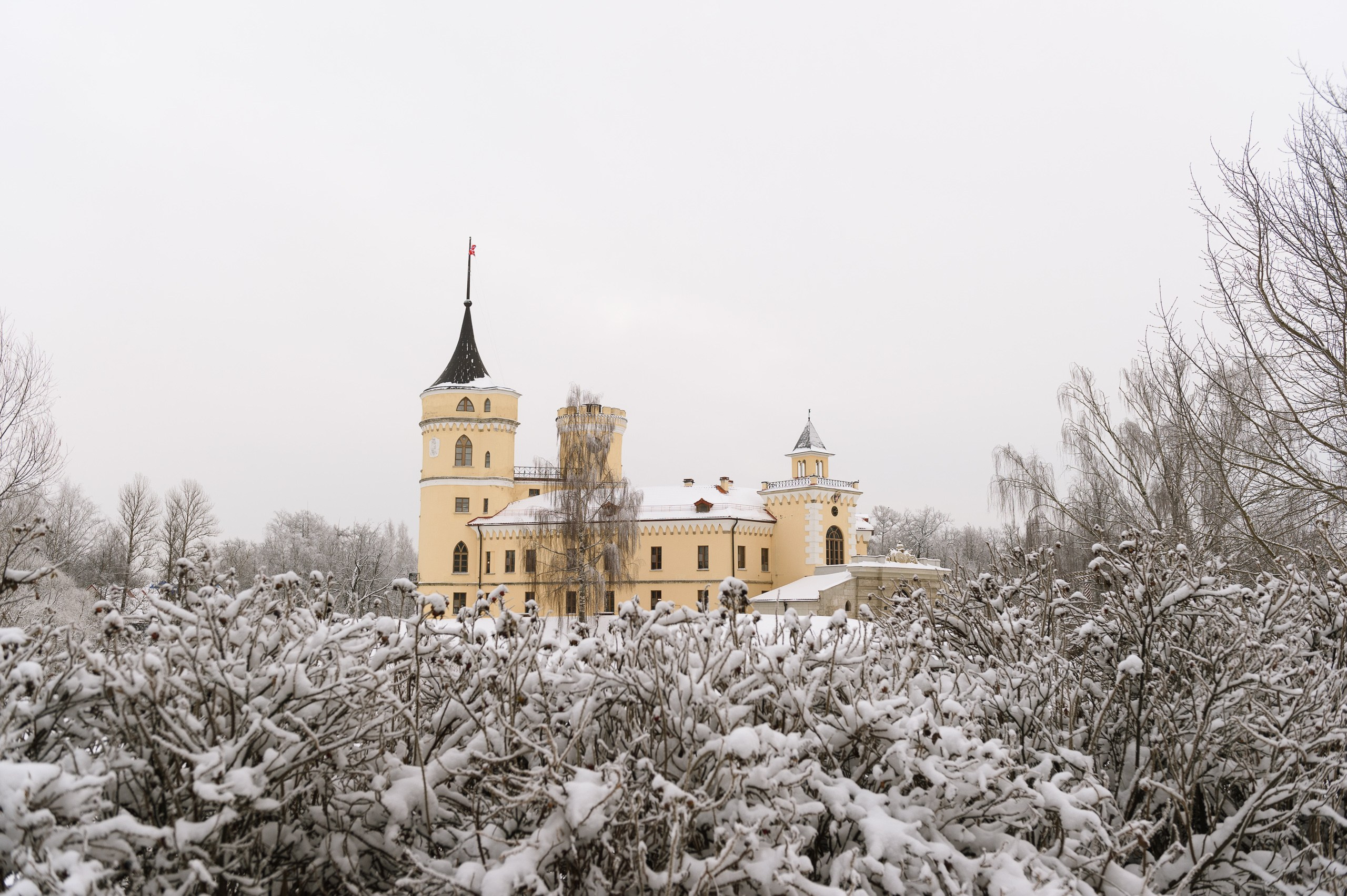 Детский фотограф