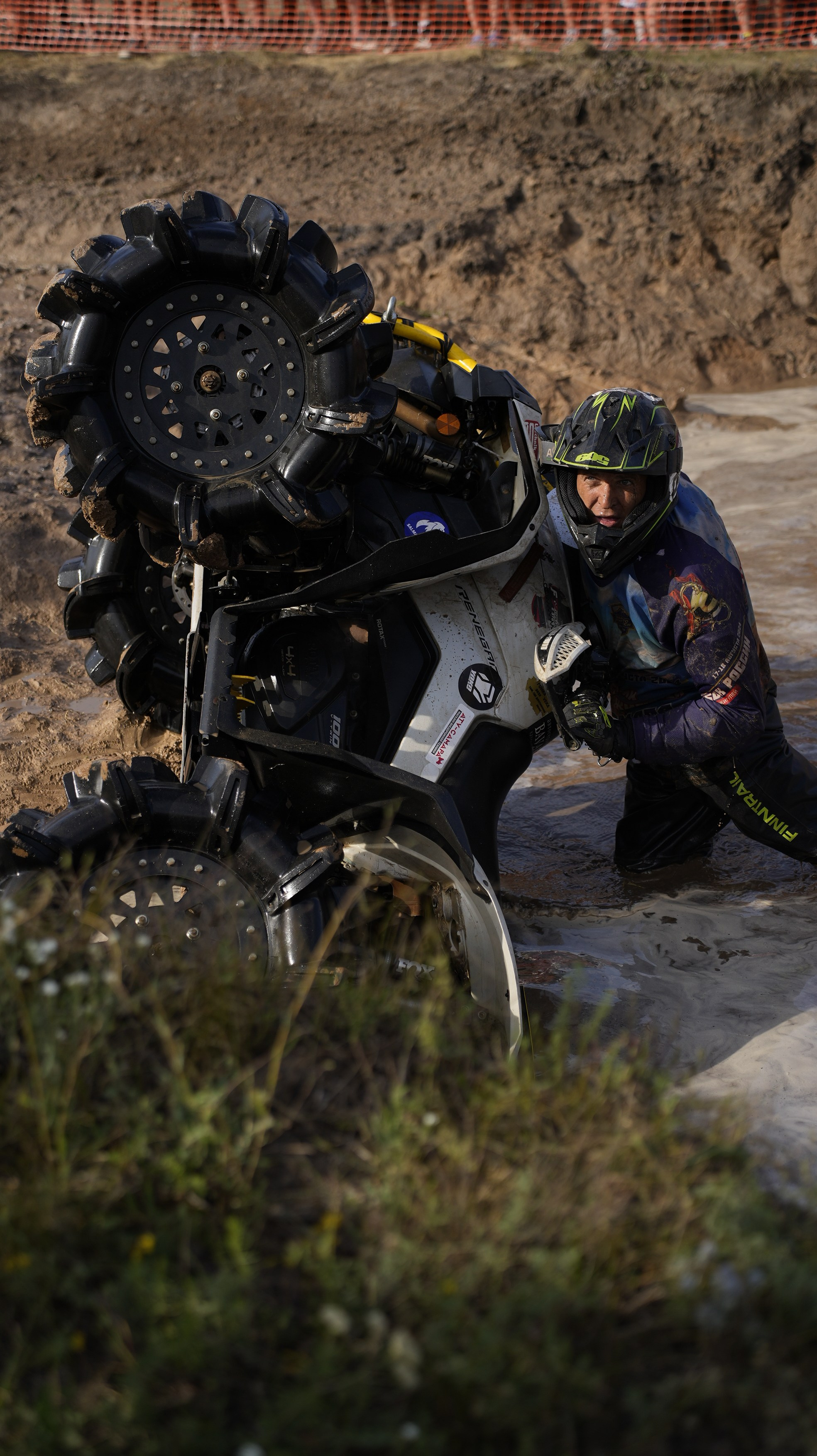 Asset. Георгий Новиков