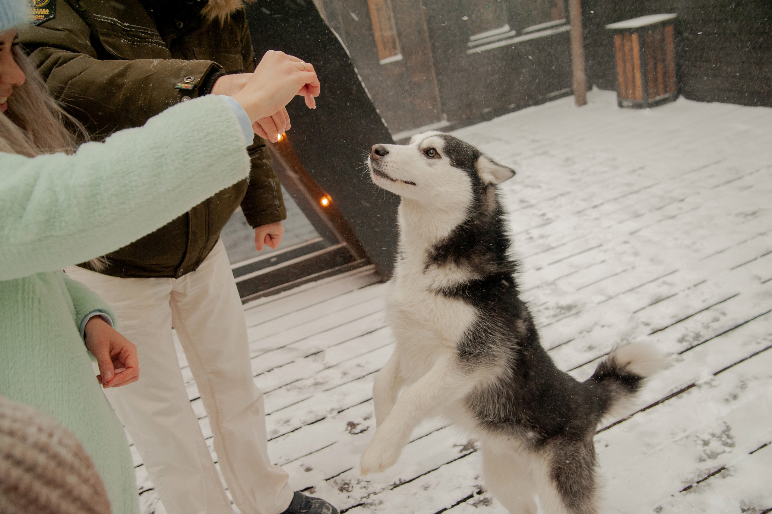 One happy day. Фотограф в Красноярске