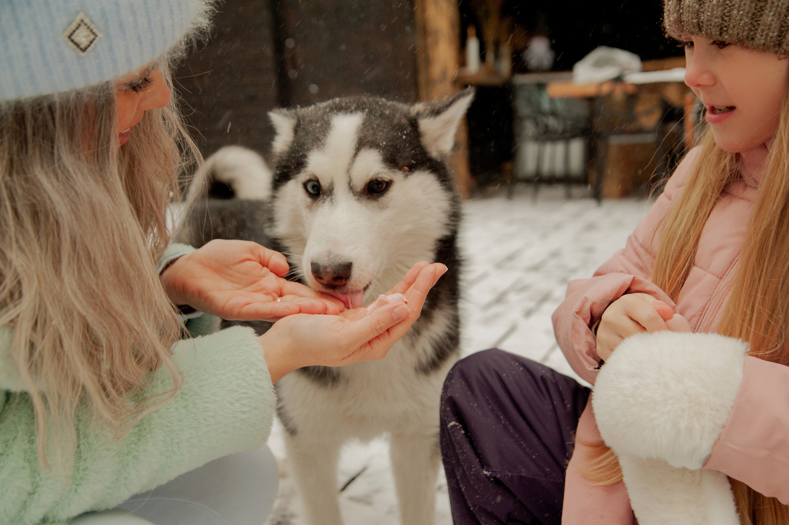 One happy day. Фотограф в Красноярске