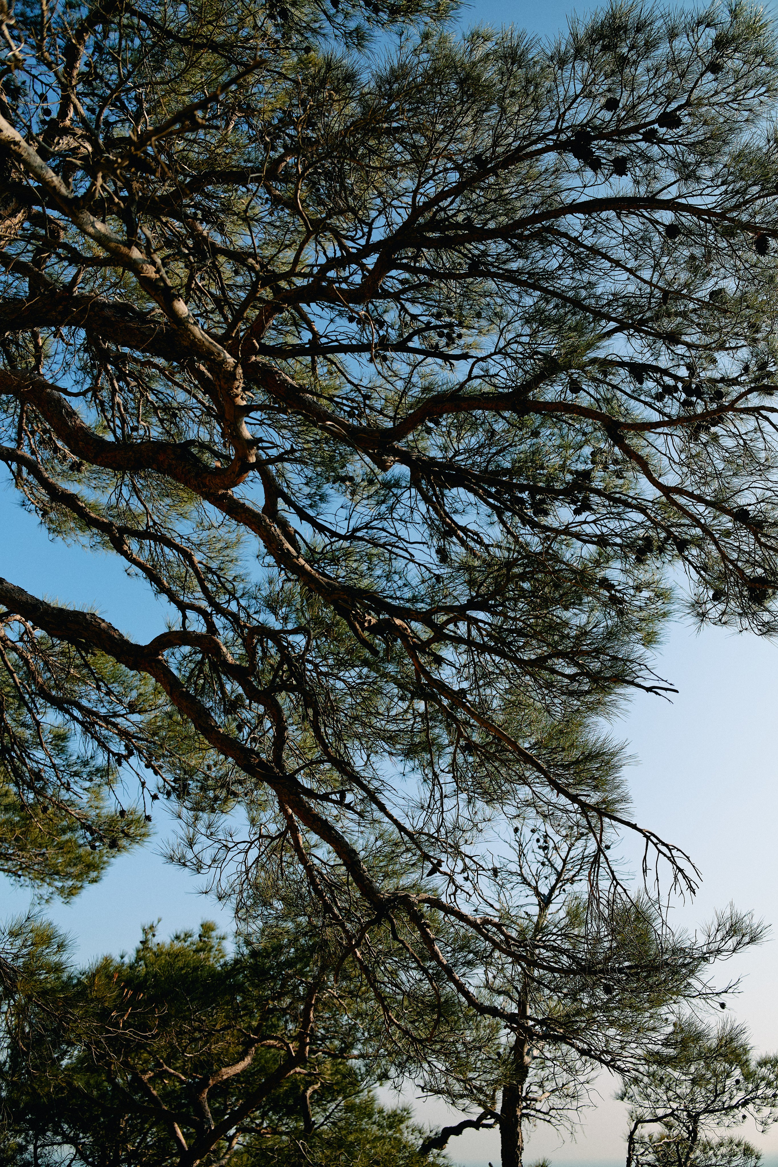 Юг России. Профессиональный Фотограф во Владимире, в Москве и в Суздале — Полина Романычева