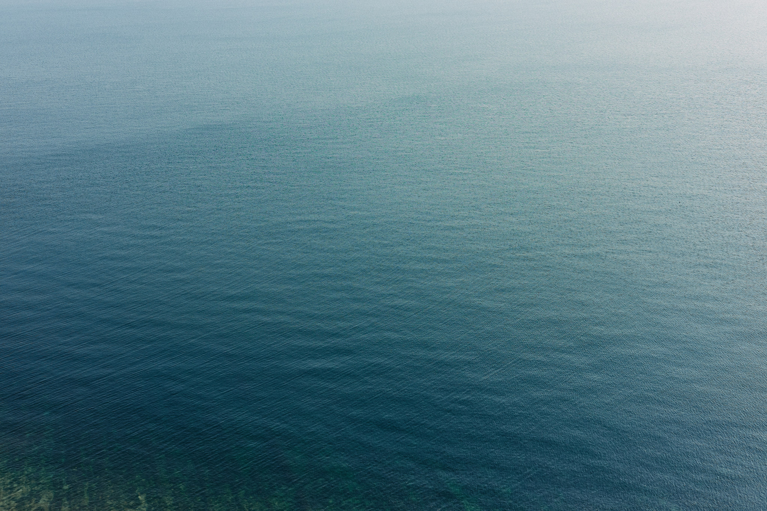 Юг России. Профессиональный Фотограф во Владимире, в Москве и в Суздале — Полина Романычева