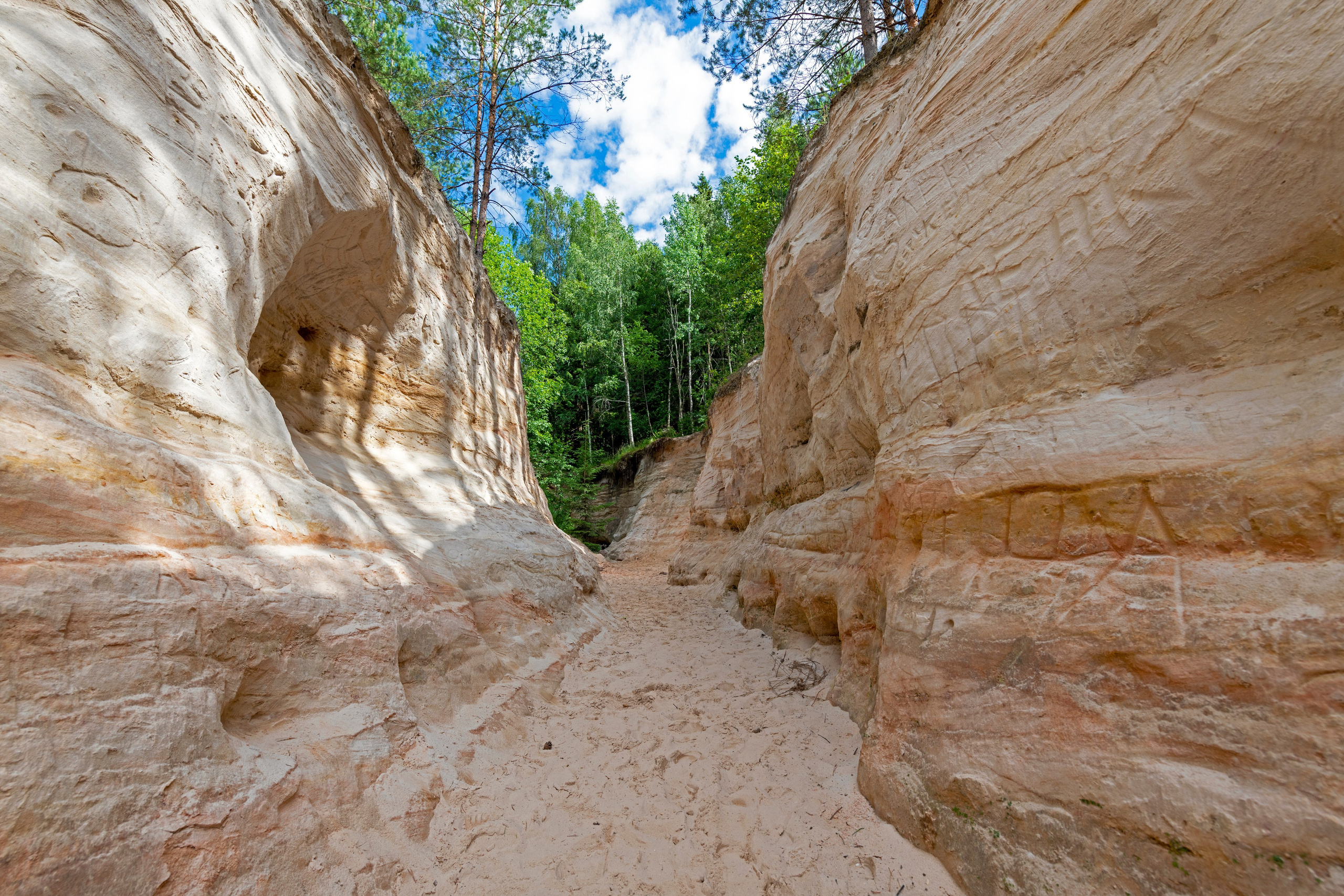 ПРИРОДА. От прошлого к будущему авиации через фотографию