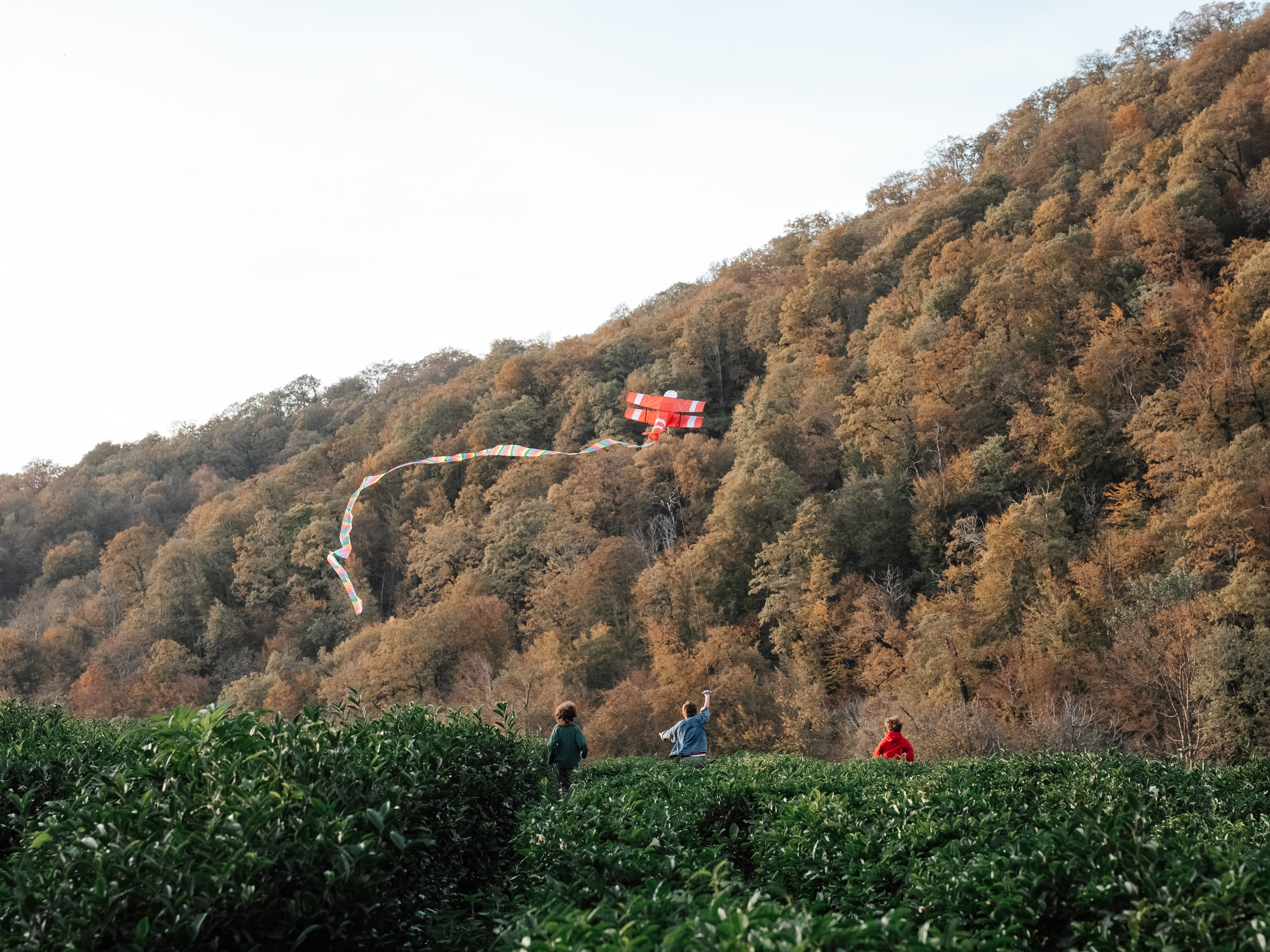 РЕПОРТАЖНАЯ СЪЕМКА. Жильцова Диана фотограф г. Сочи