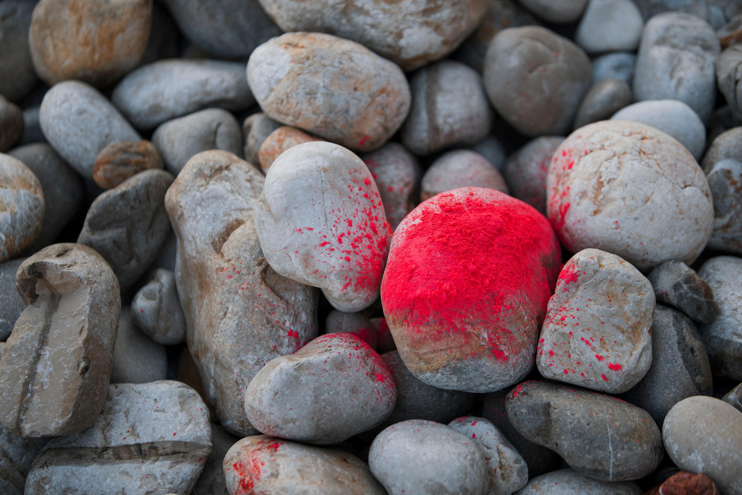 Gender. Photographer in Montenegro Tatiana Talaeva