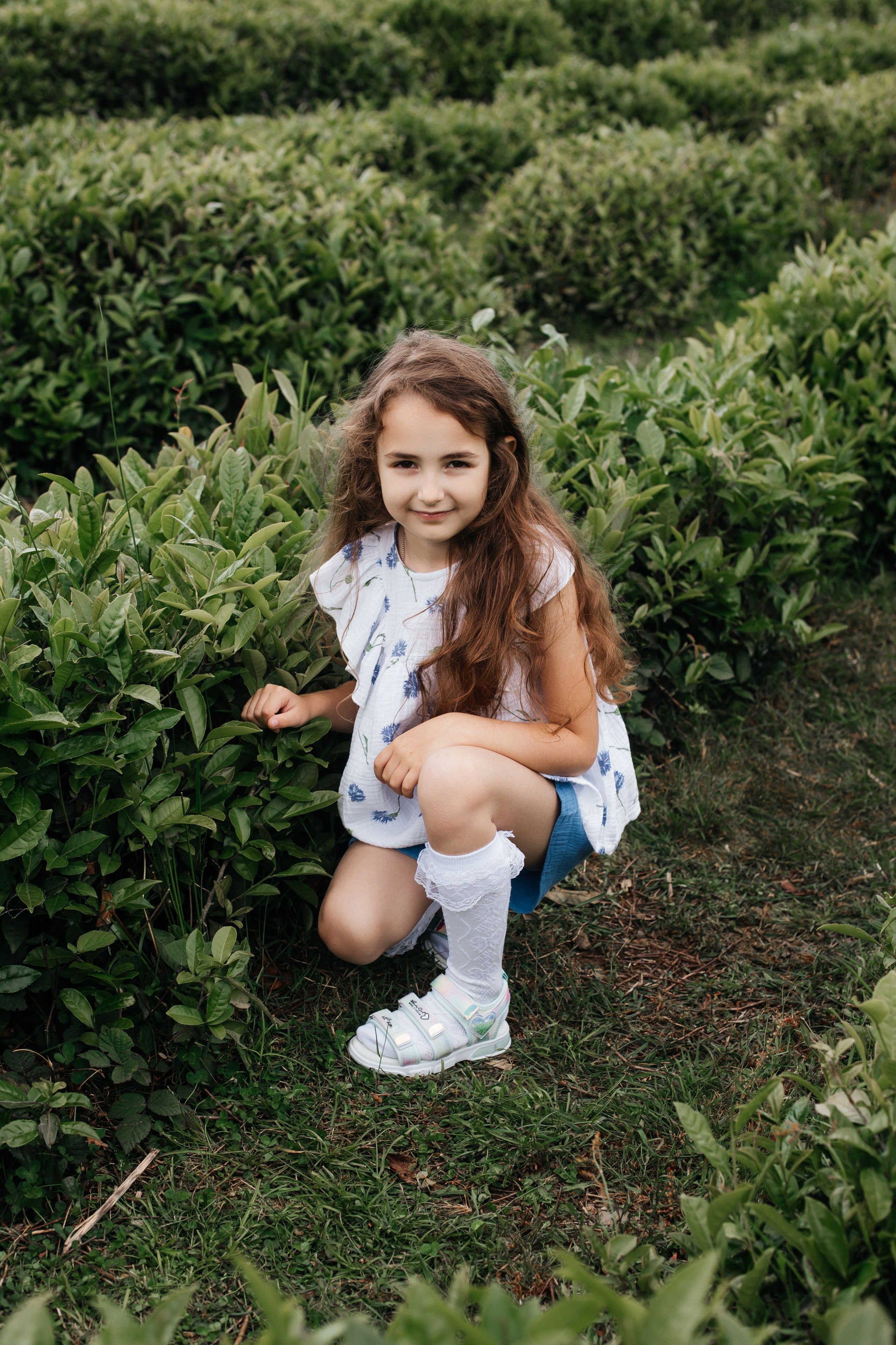 Tea plantation. Efimova Model Agency