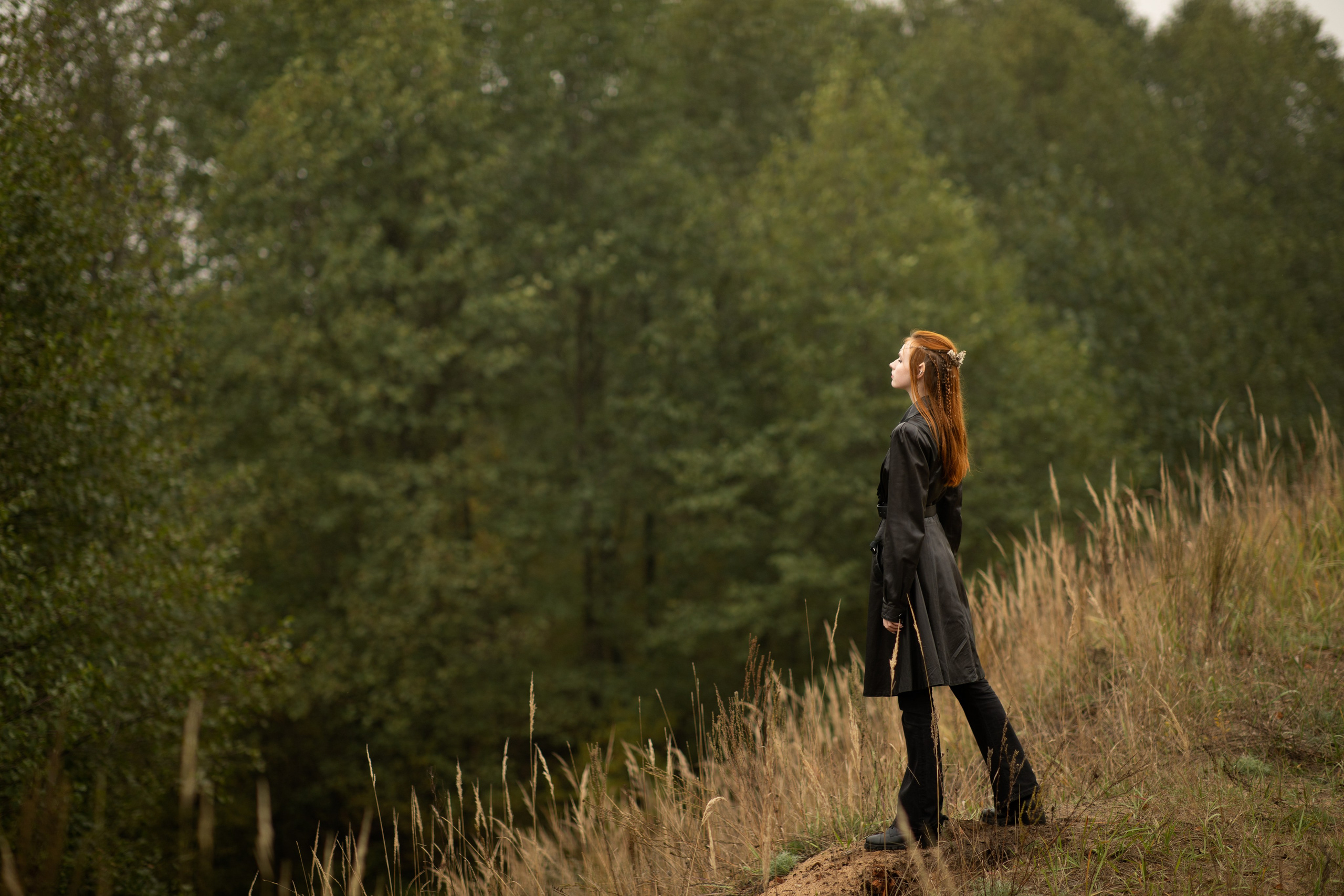 Волшебный лес