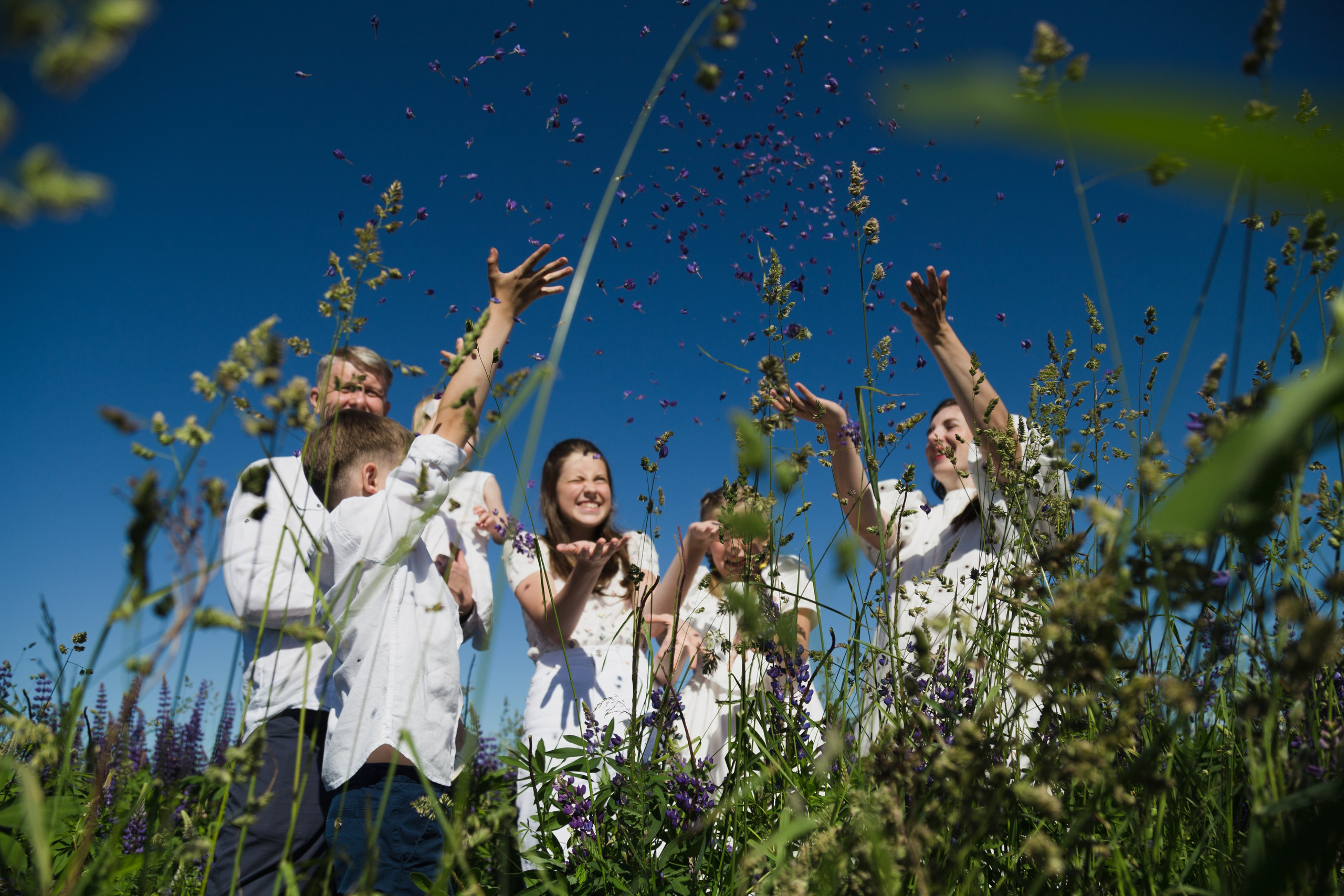 фотосессия в люпинах