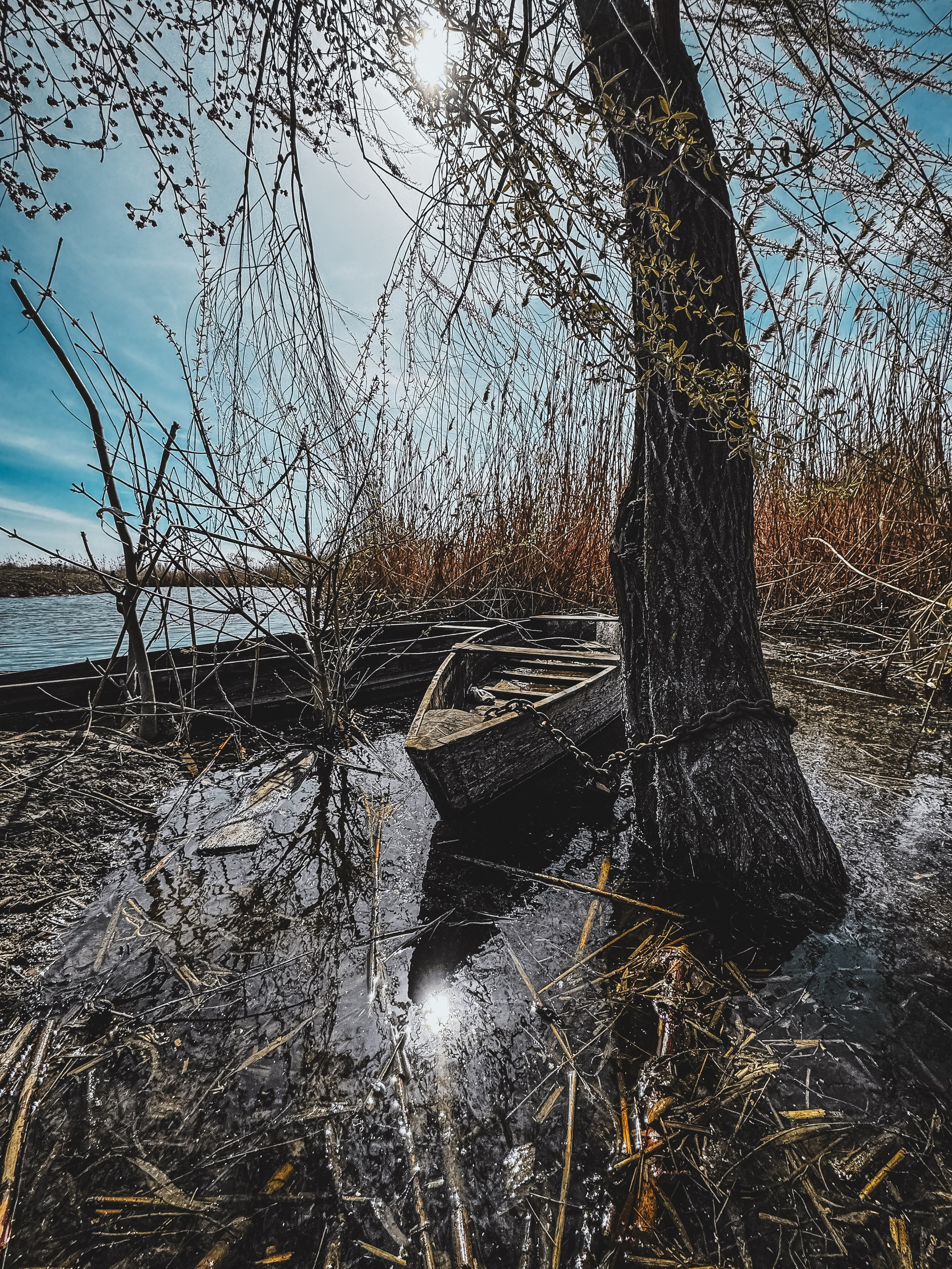 Фотографии природы России для Русского географического общества