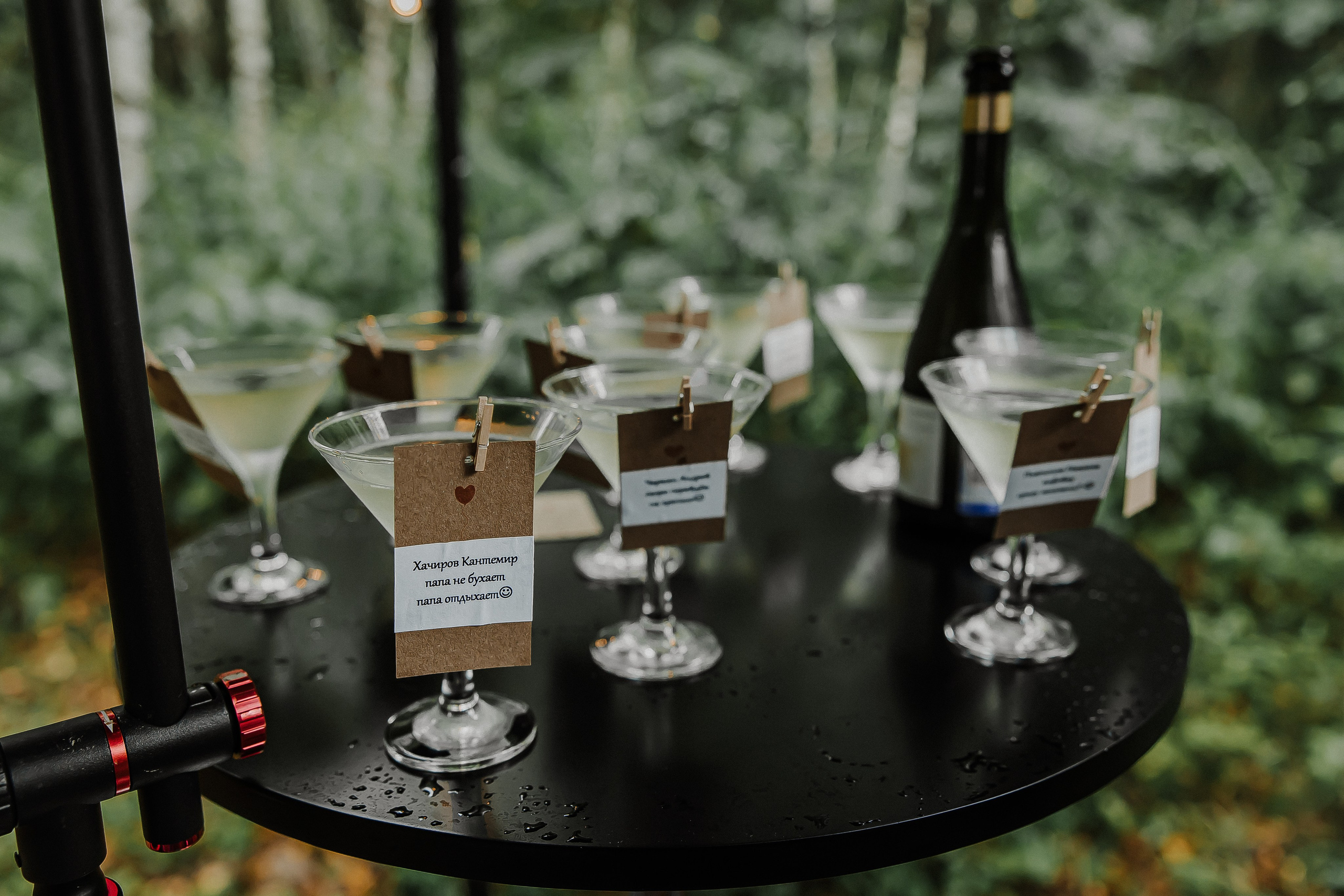 Александр и Арина. Свадебный и семейный фотограф Елизавета Ермак | Москва и МО