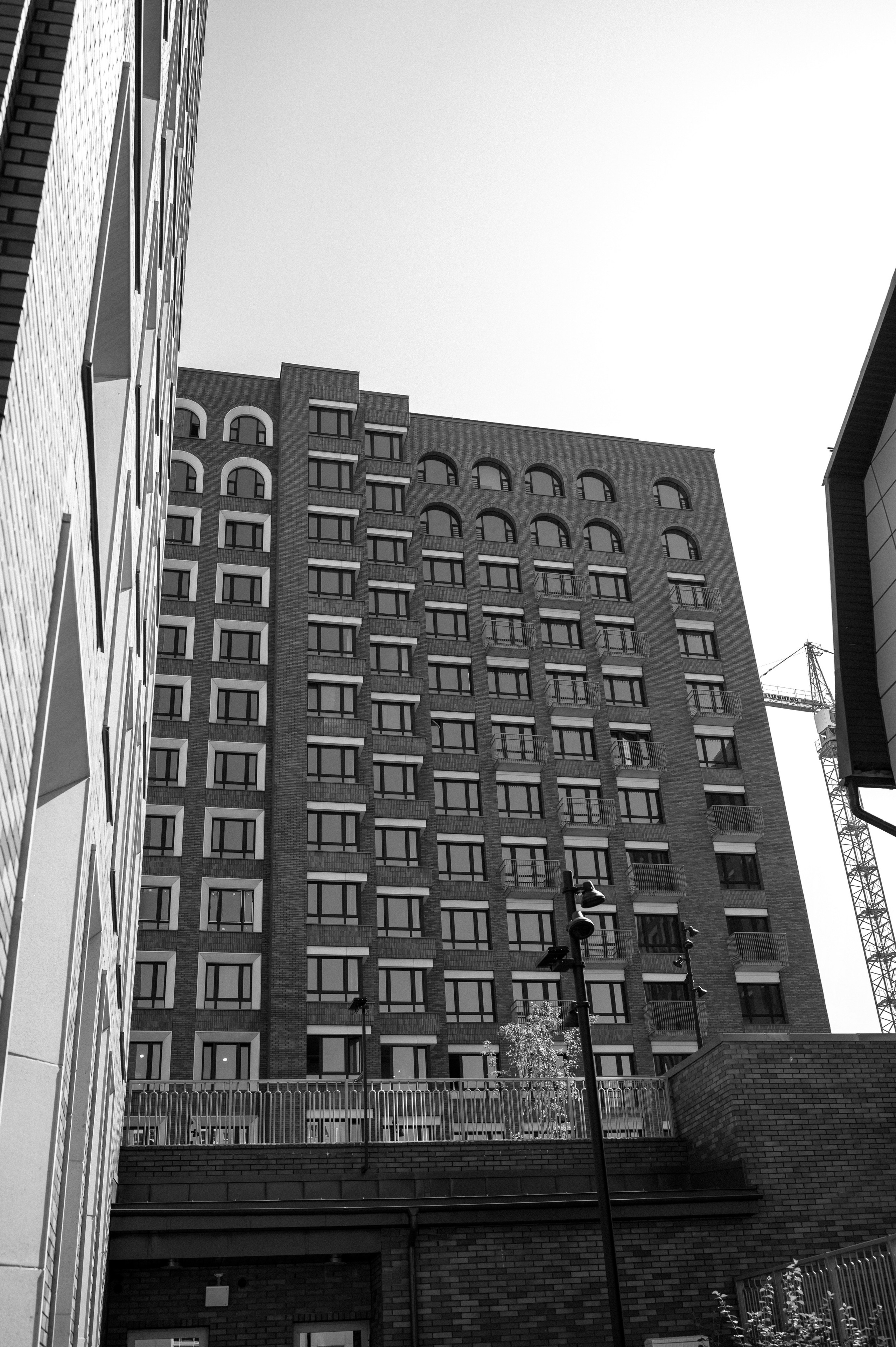 Даниил и Алёна. Свадебный Фотограф Челябинск Уфа Егорова Анастасия