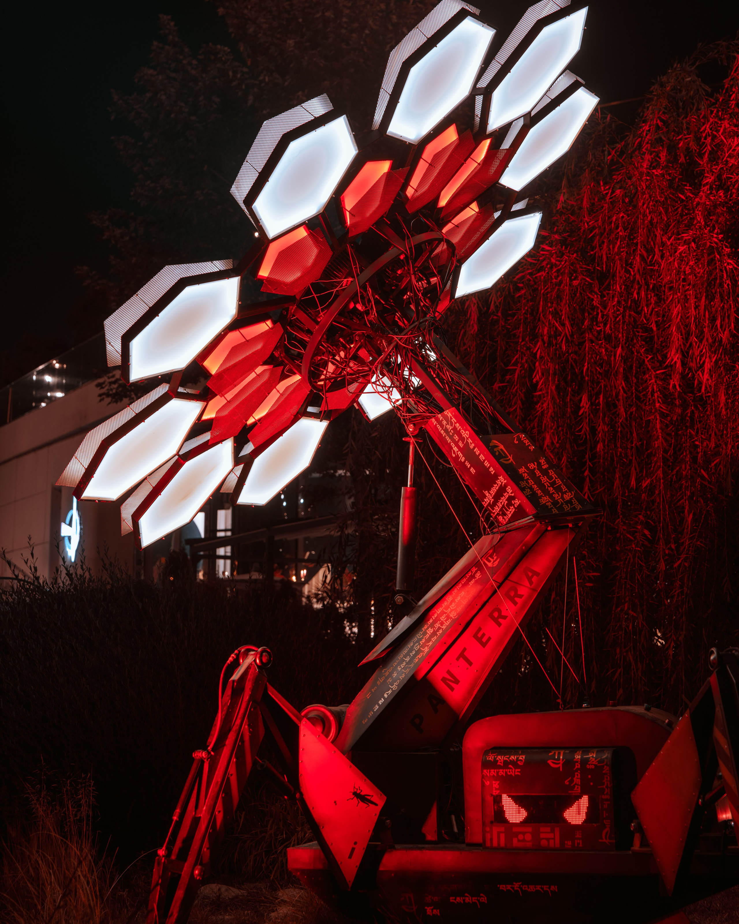 PANTERRA, Cyber Flower. @tomrus: Рустам Шагиморданов — фотограф