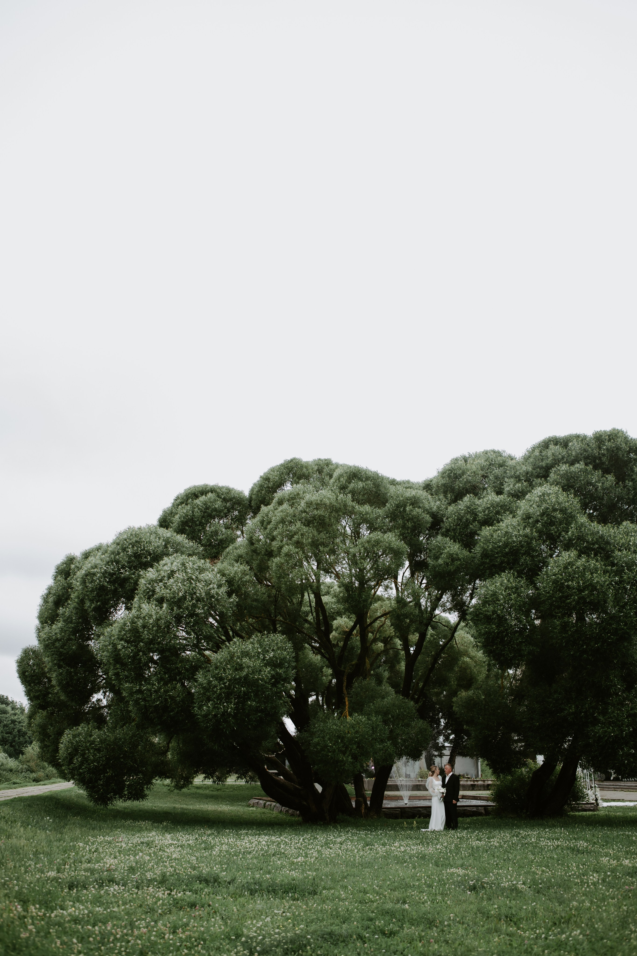 Свадьба Андрея и Екатерины. Фотограф Кольчугино/Владимир/Москва Елизавета Иода