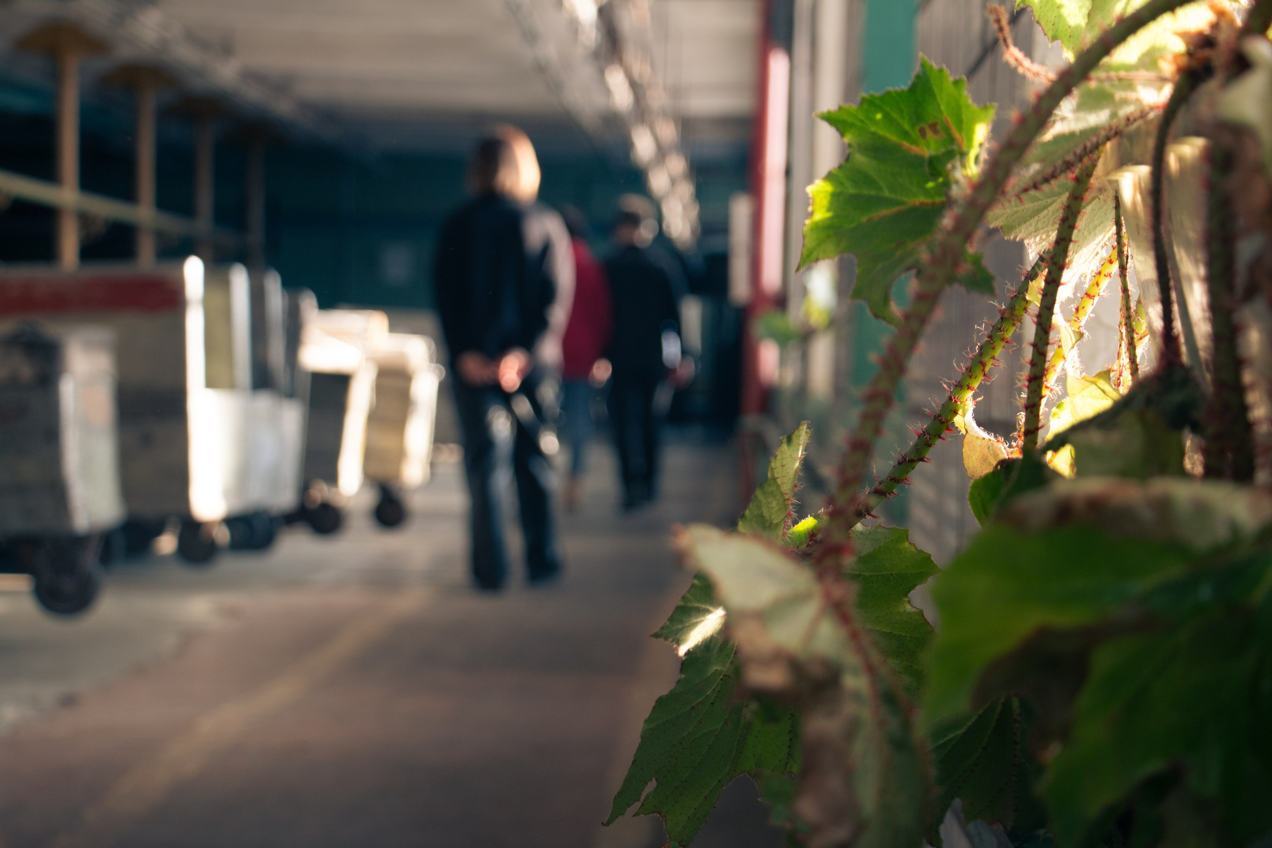 Textil — Радио Фабрика. Фотограф в Ярославле Никита Зайцев