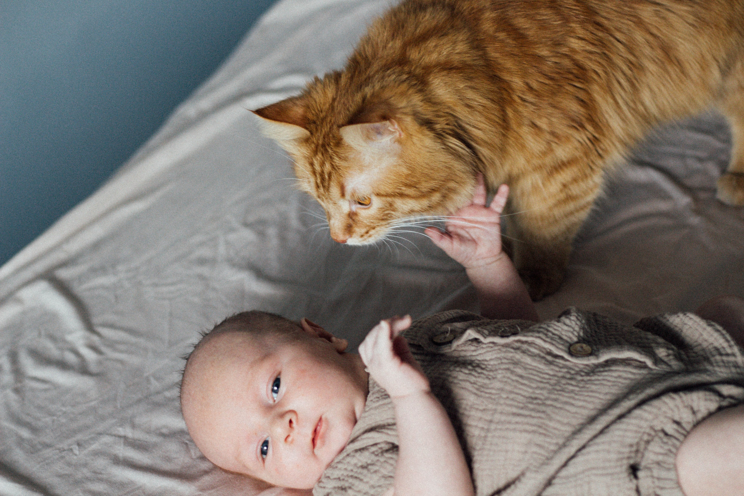 МАЛЕНЬКИЙ ФЁДОР. Семейный и свадебный фотограф в Волгограде Наталья Орина
