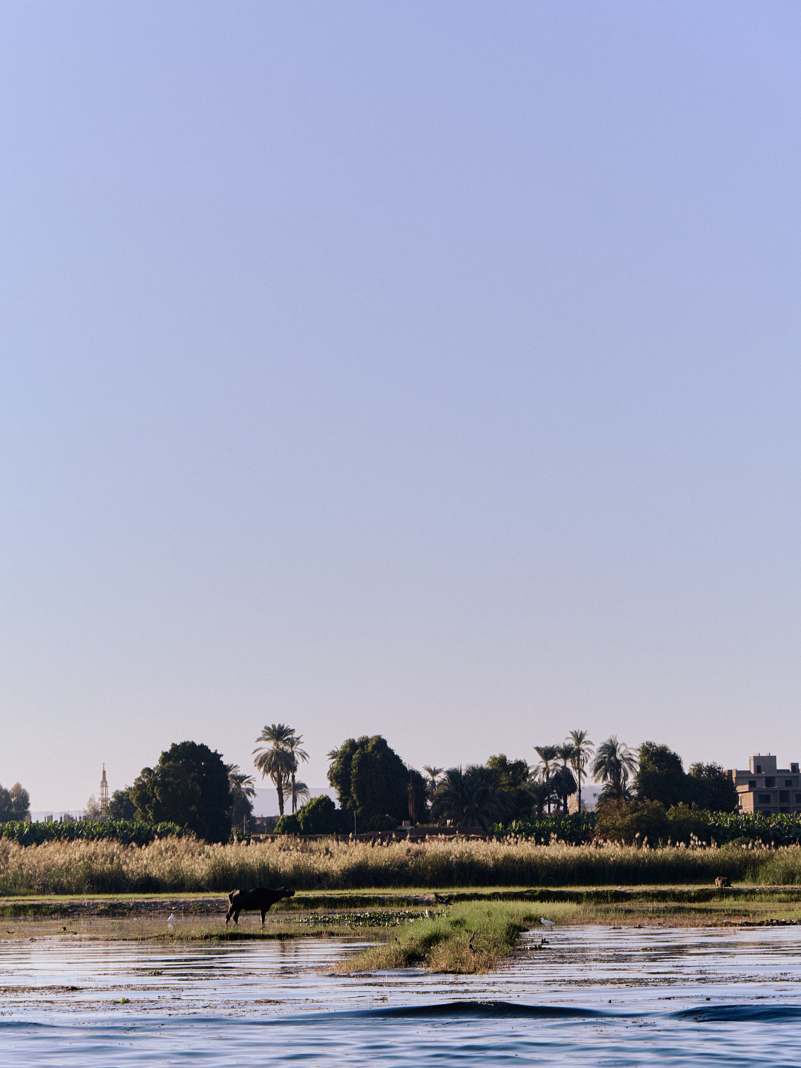 Другое 4. Jorgis — фотограф в Хургаде / обучение фотографии