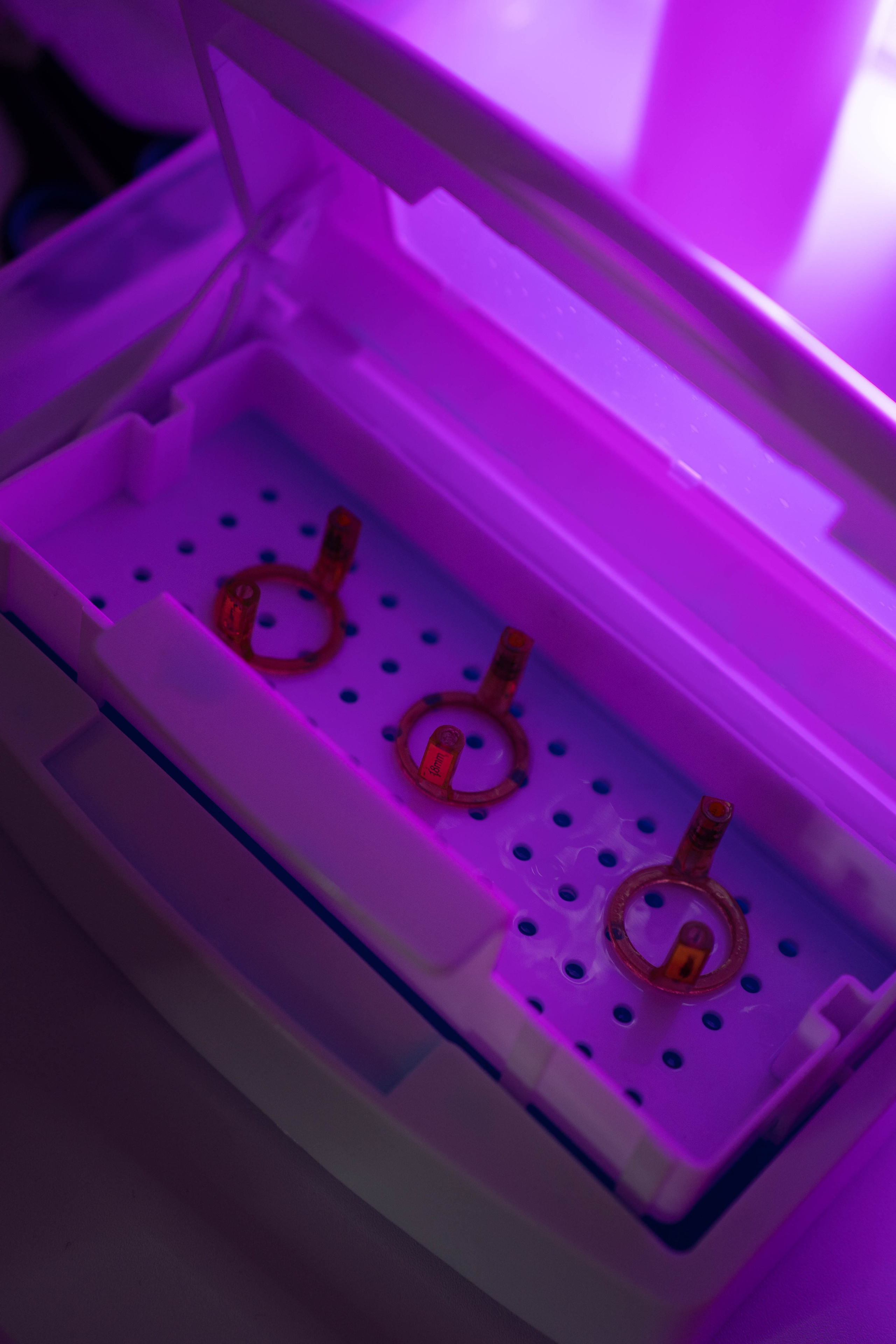 ALEXSANDRIT STUDIO. Фотограф Абакумова Анастасия