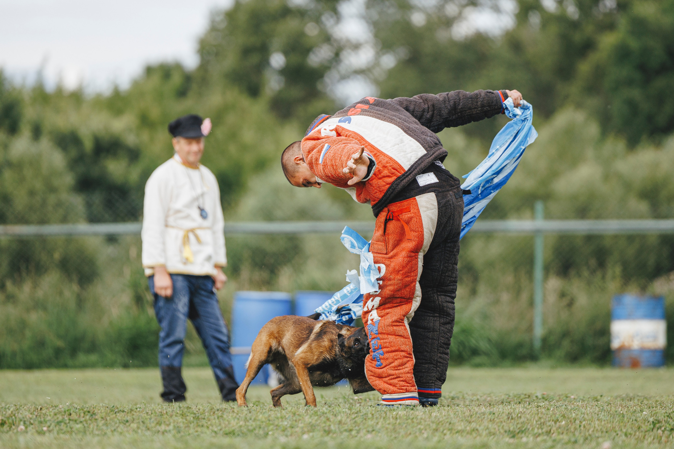 08.08.25-10.08.25 ЧР по мондьорингу г. Вологда. Фотограф-анималист Анна Маринич