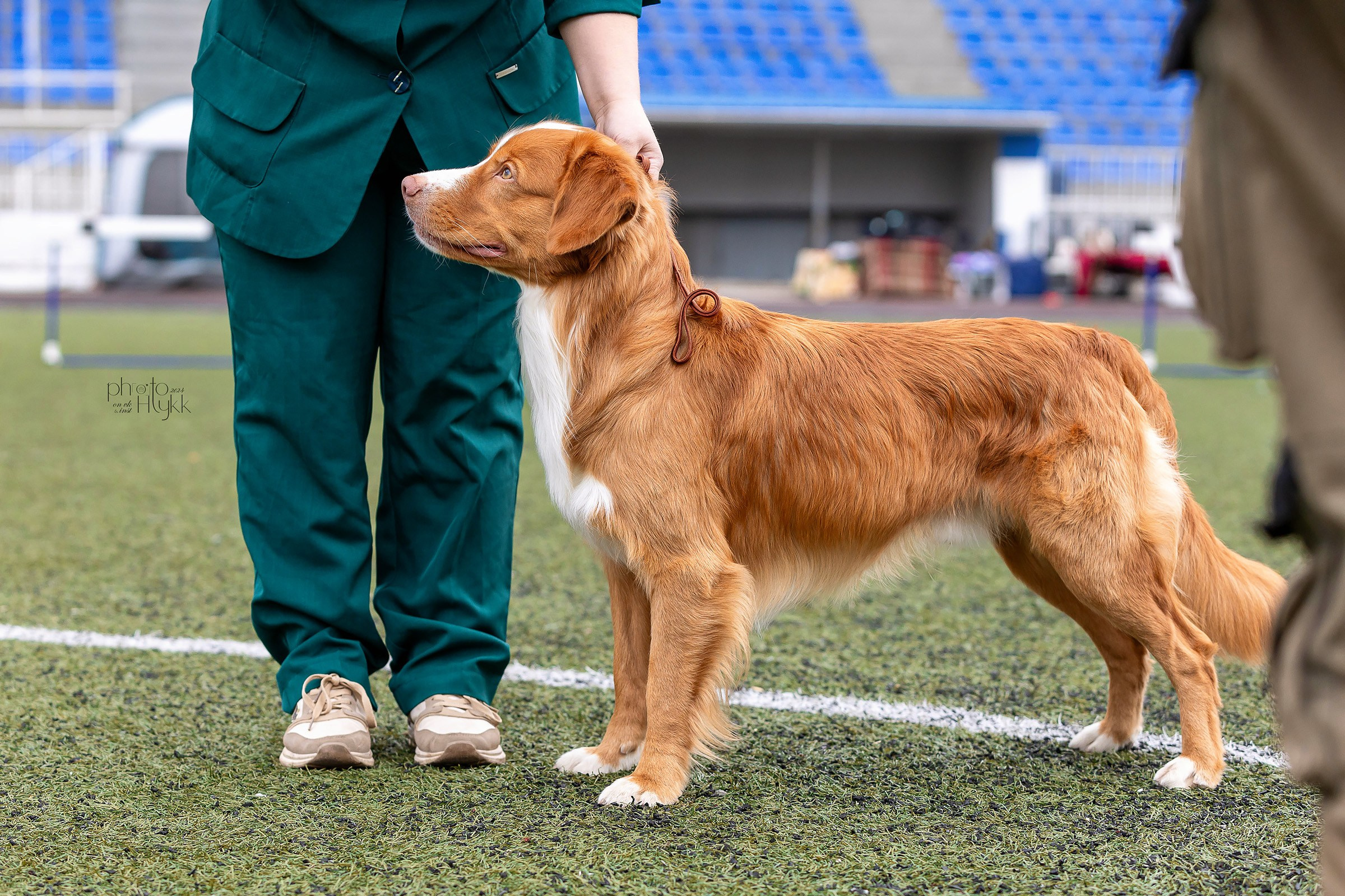 26 мая 2024, Выставка РКФ, г. Пермь. Htykk_photo
