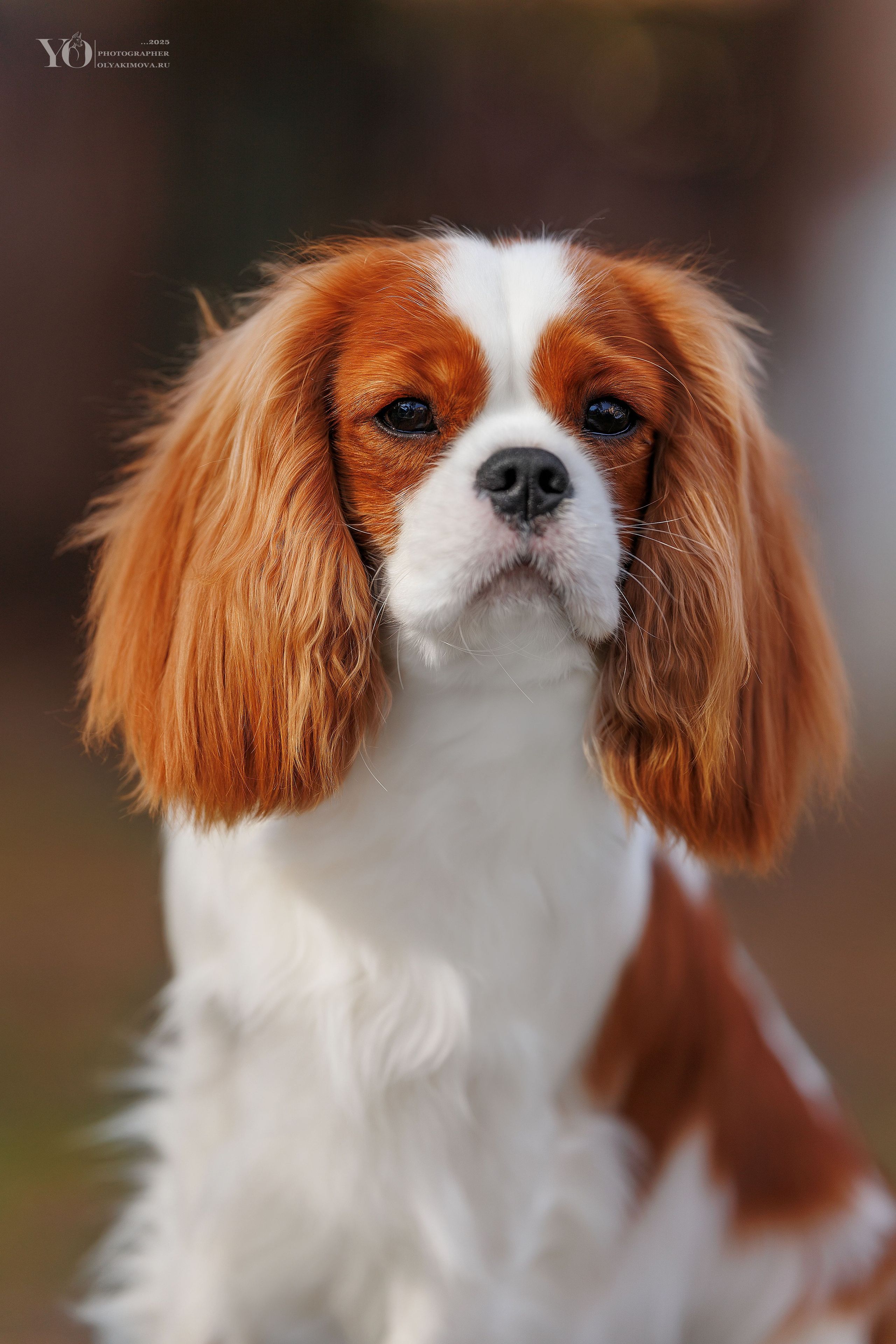 Экстерьер. Фотограф