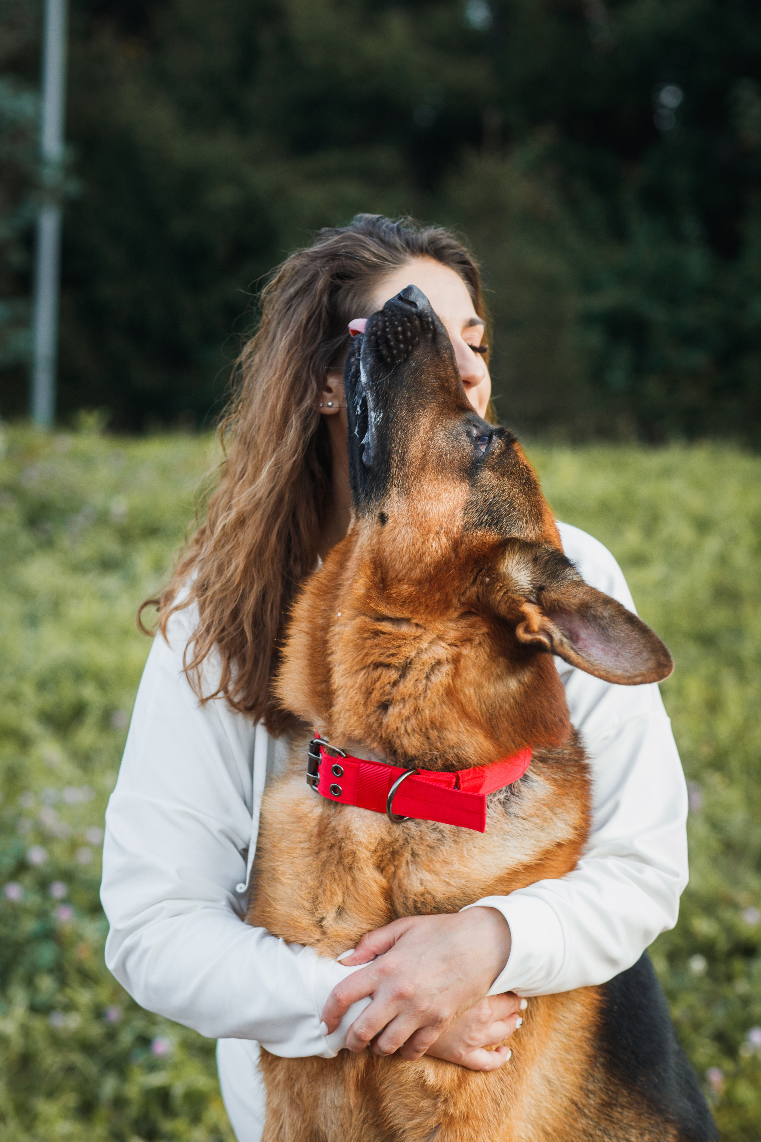 Фотопрогулка молодой девушки и ее собаки летним утром в парке. Семейный и школьный фотограф в Москве Анна Ткач