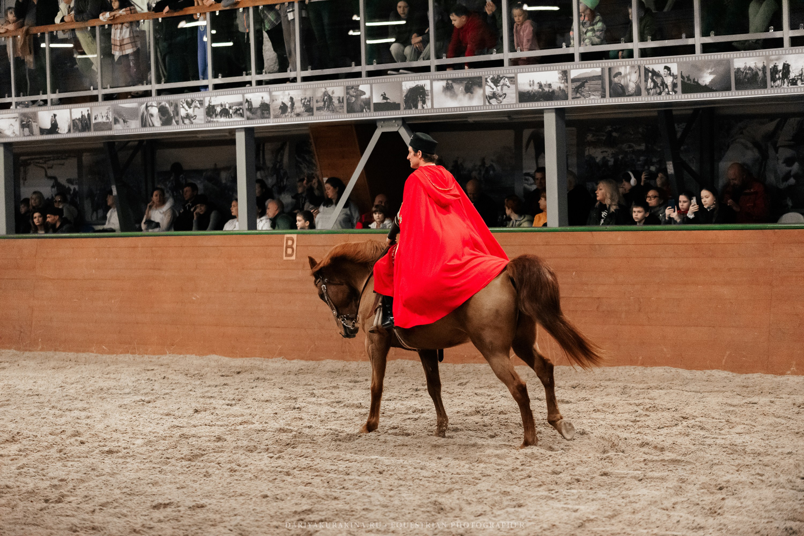Конное представление «Дыхание Звёзд». Конный фотограф Куракина Дарья • Фотосессии с лошадьми