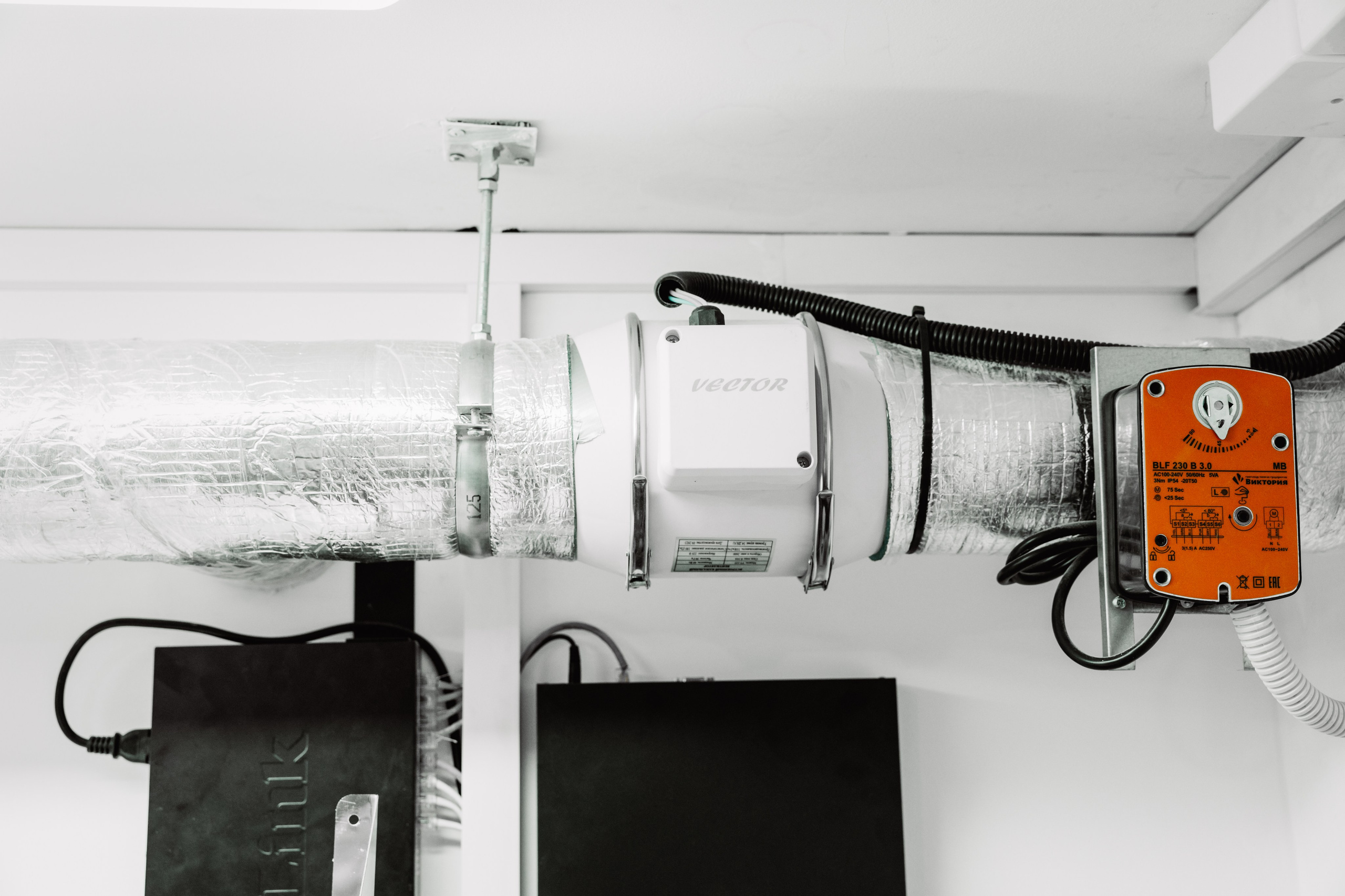 ЧЕБ И РЕК | РИО. ФОТОГРАФ ИРИНА ШАМАТАВА