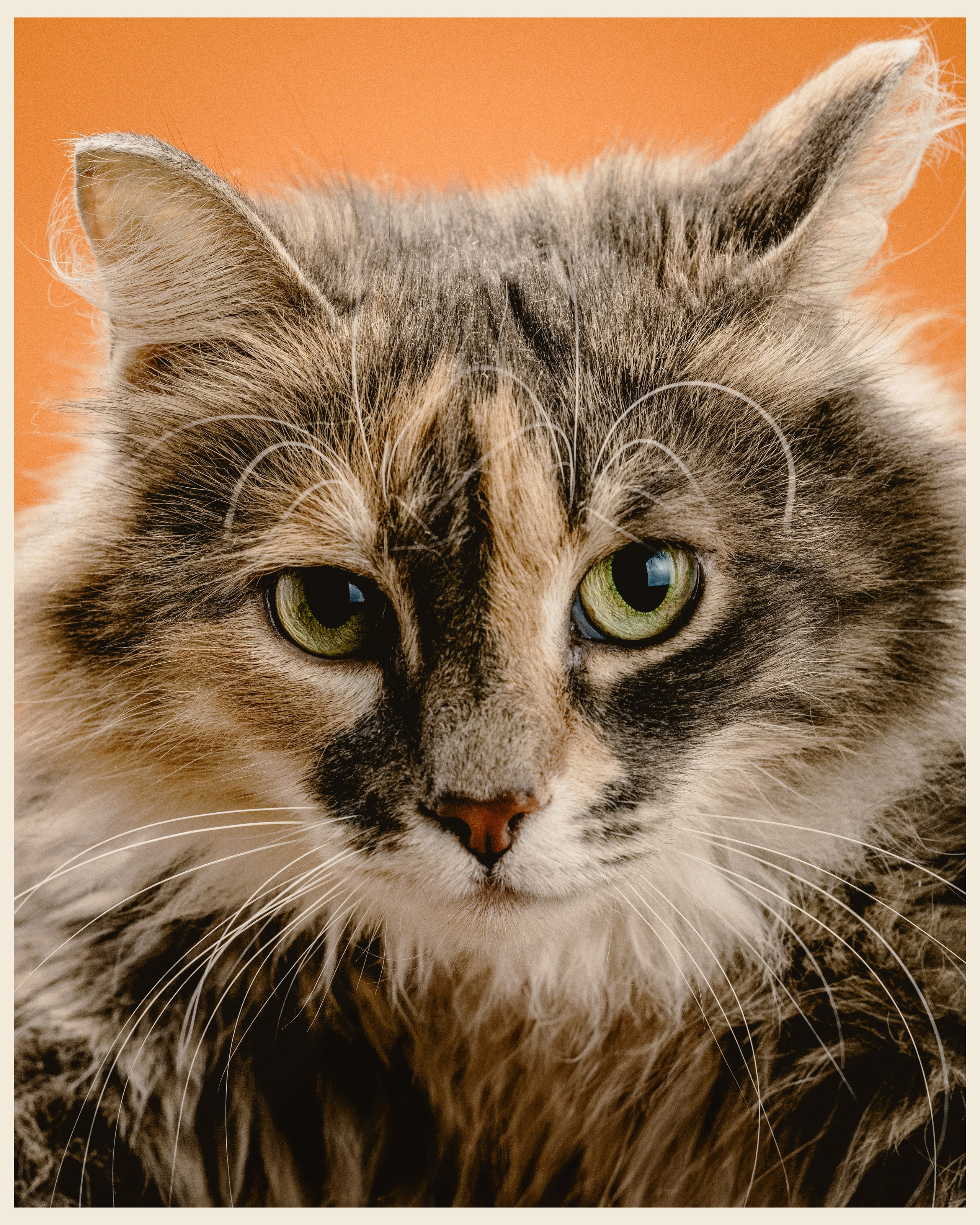 OM x VANO. Ivan Petrov photographer