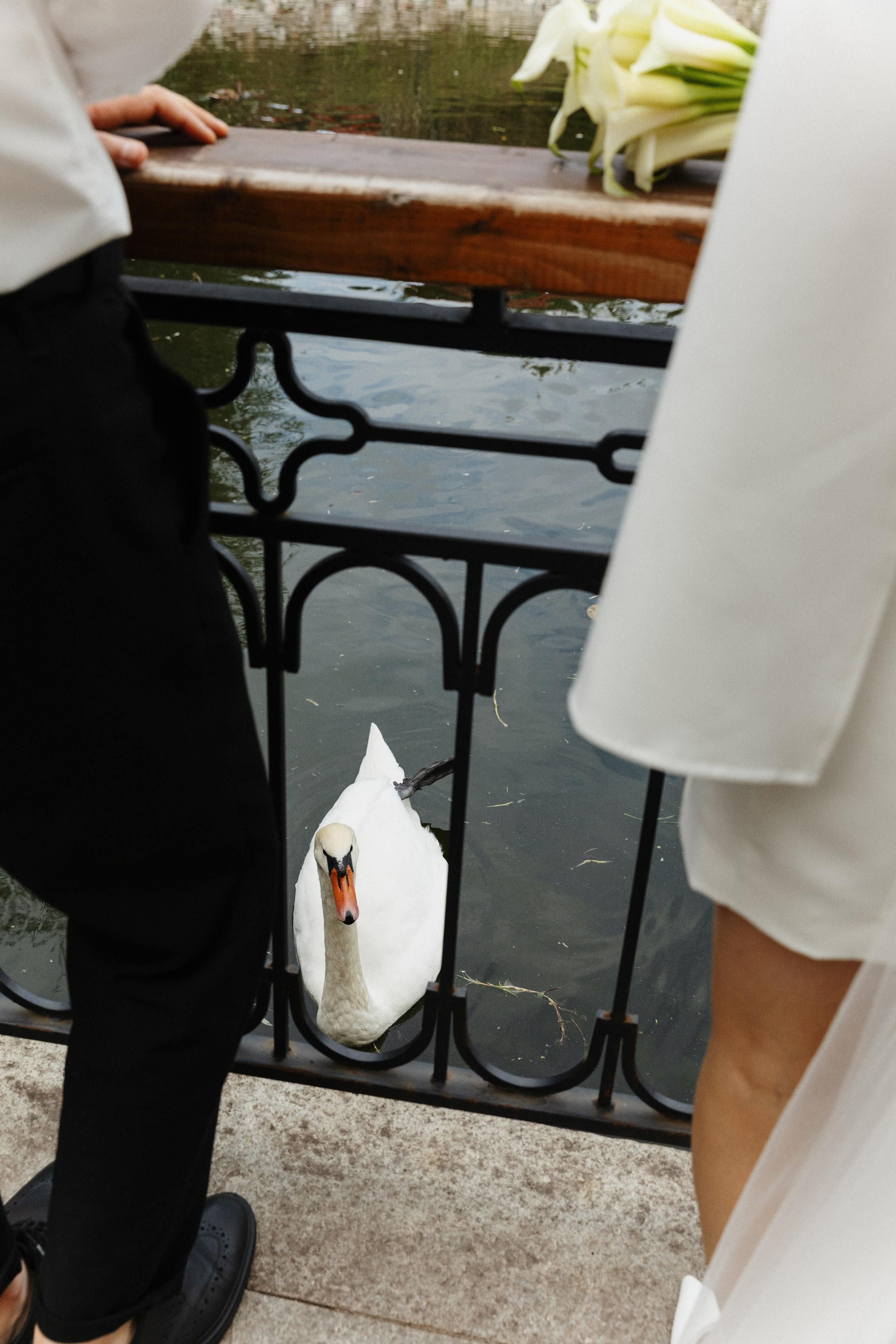 Дмитрий & Динара