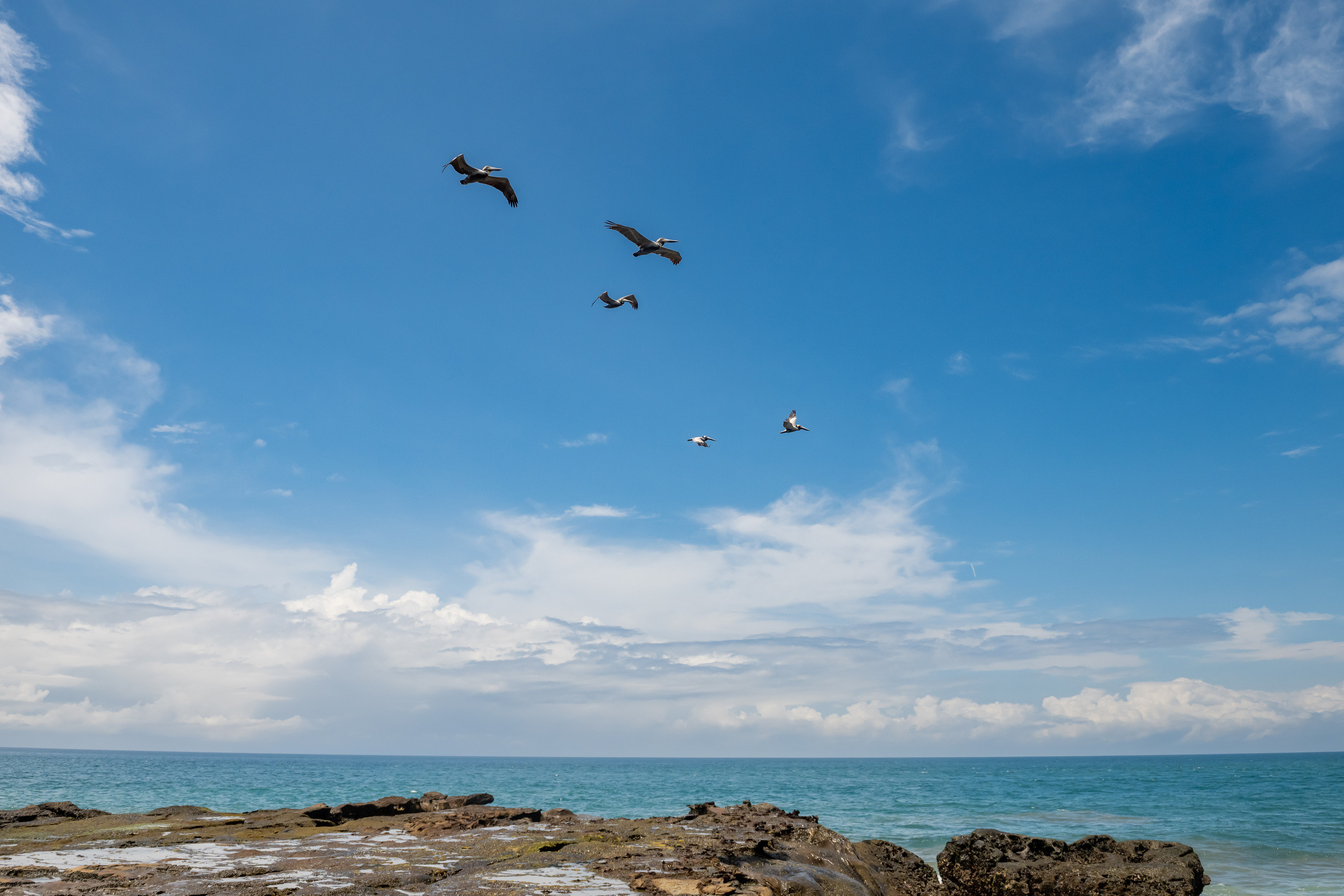 Пейзажный фотограф, Фотографии дикой природы. Foto-Zuev фотография как искусство
