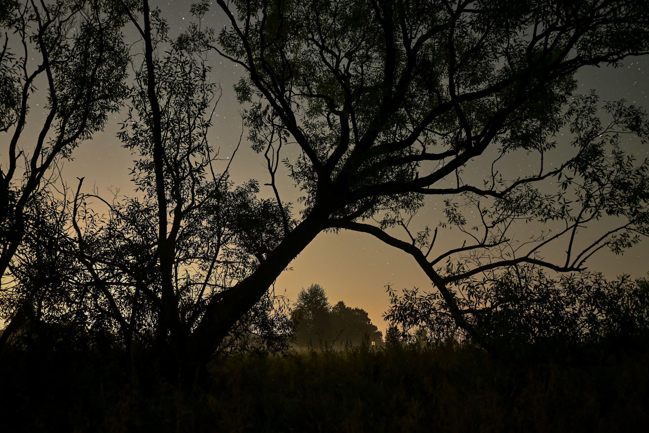 Пейзажный фотограф, Фотографии дикой природы. Foto-Zuev фотография как искусство