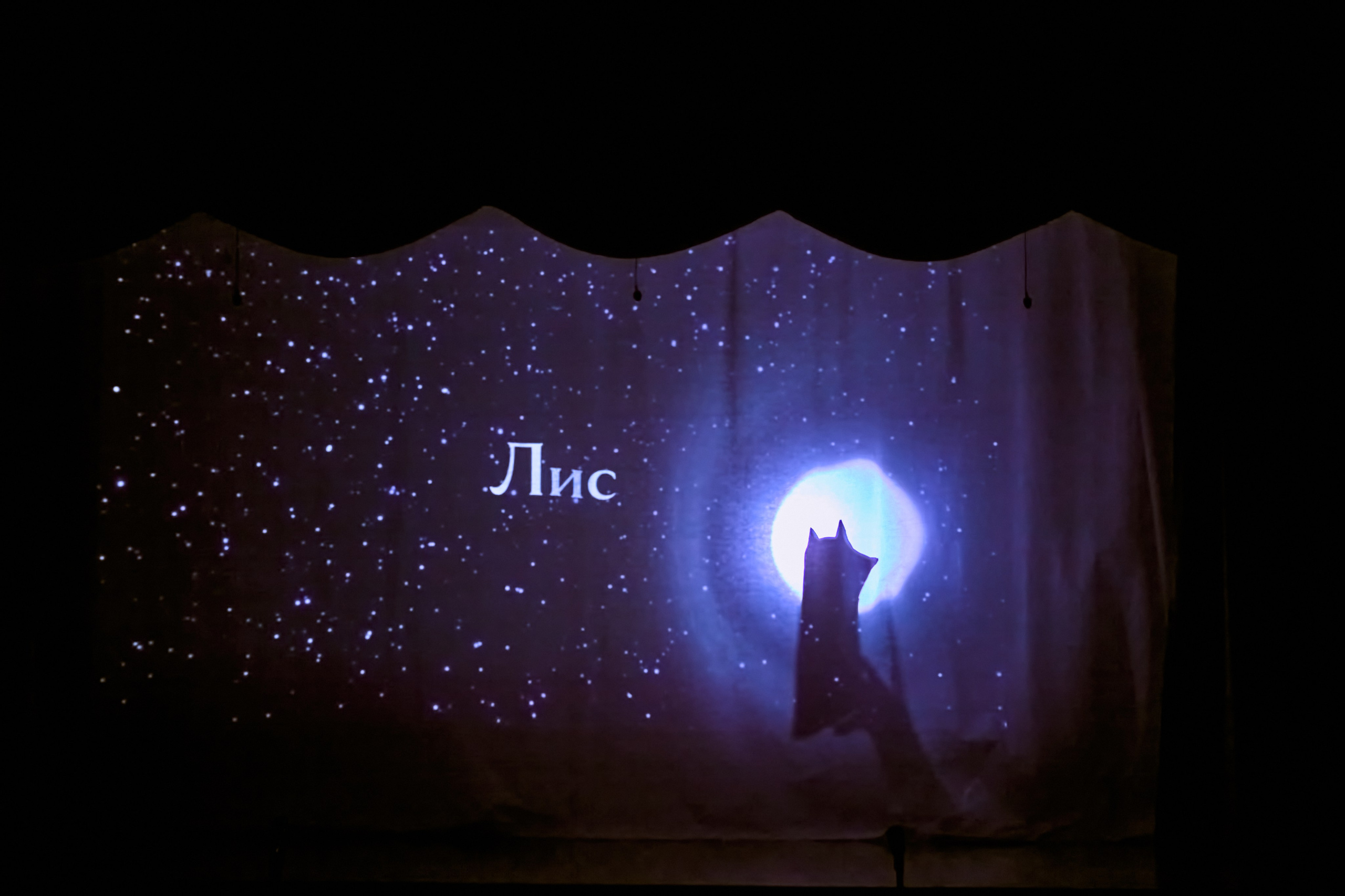 Фотографии с премьеры Маленький принц