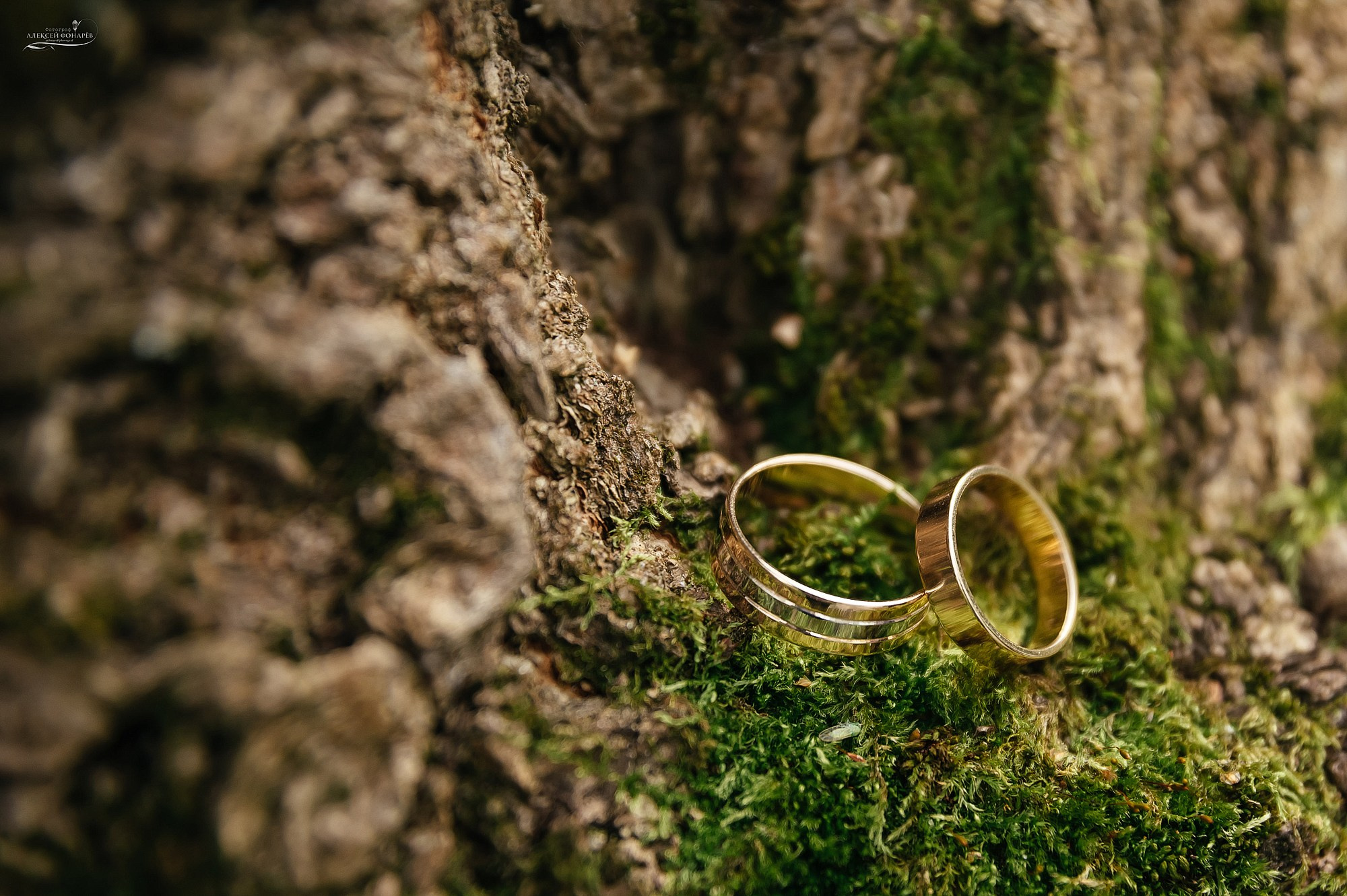 свадебные кольца на мху