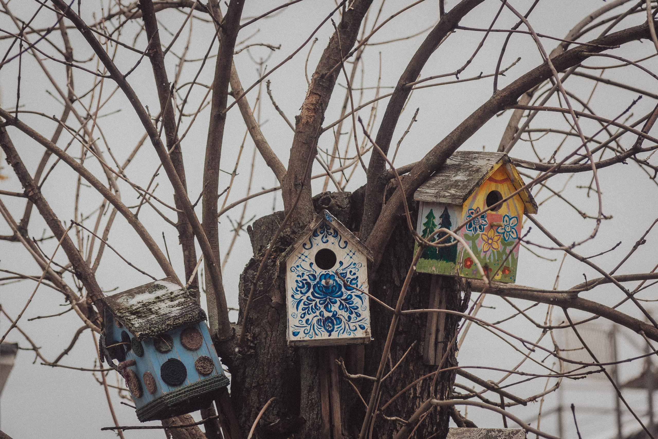 Проект #улицыгорода. Ярославль, площадь Челюскинцев. Документальный фотограф Илья Тихановский