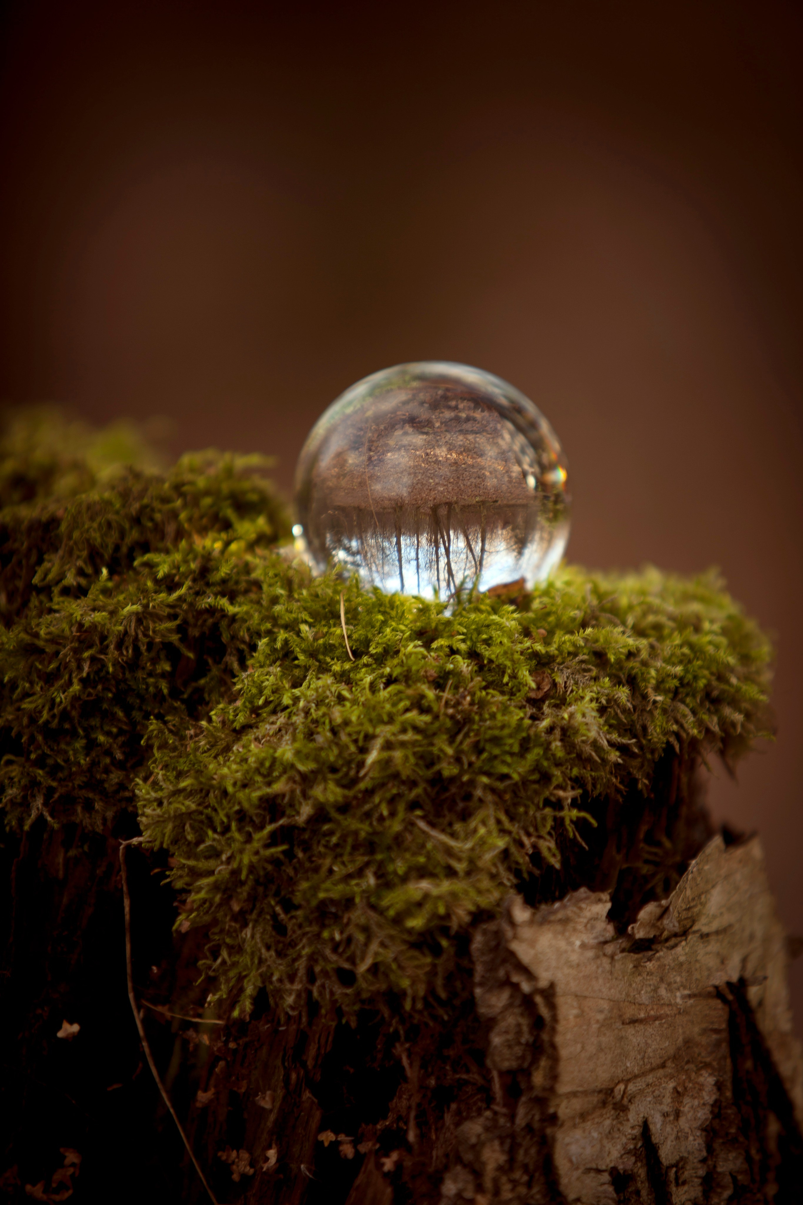 Witch. Фотограф Мария Кольцова