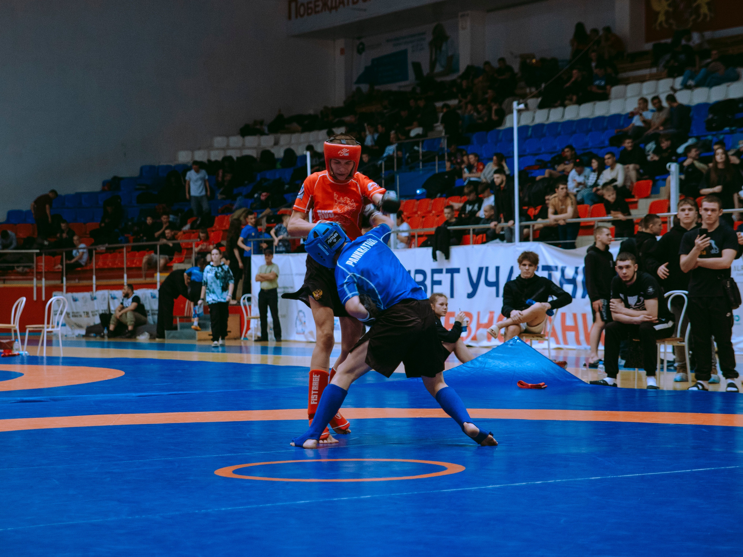 ПАНКРАТИОН | Чемпионат и первенство СФО | март `24. Портретный фотограф в Москве Дарья Цезария