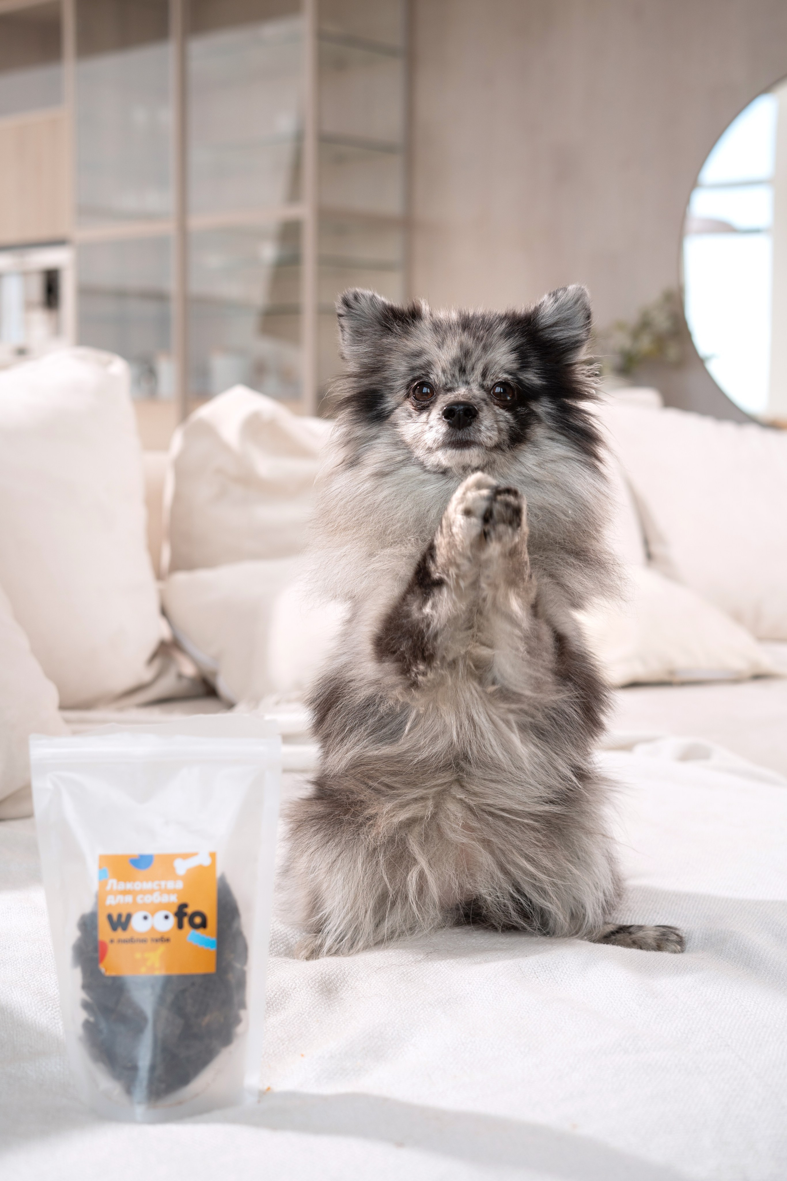 Лакомства Woofa. Фотограф анималист Осипчикова Мария