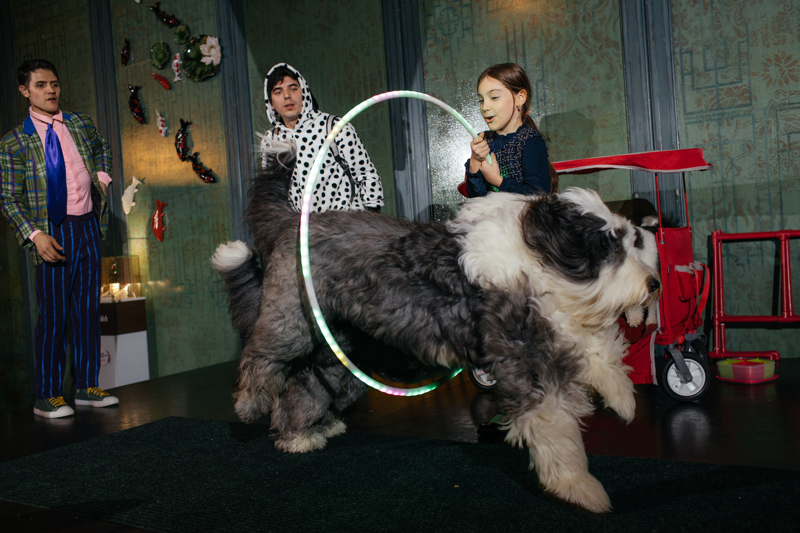 Алине 7 лет. Свадебный и семейный фотограф