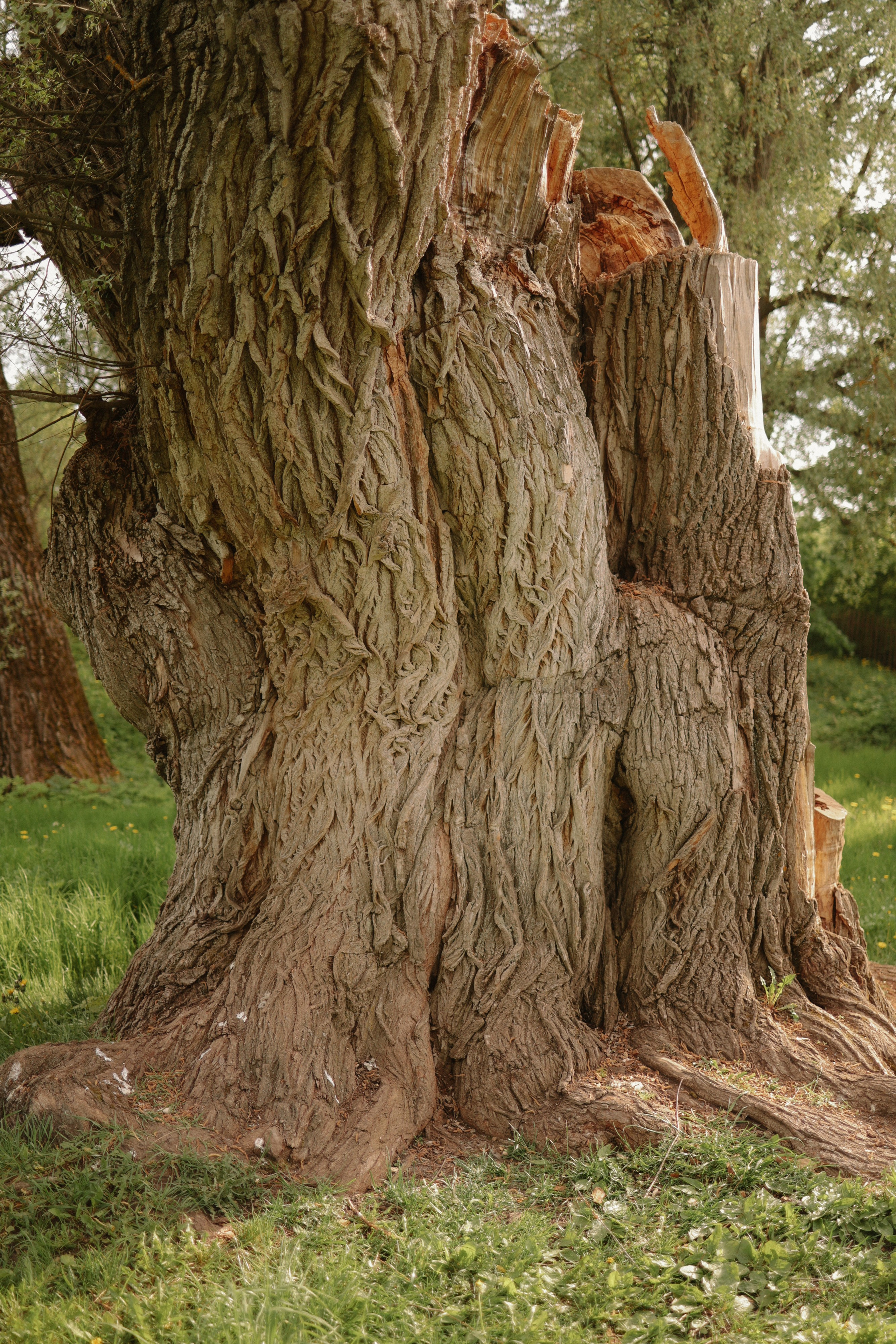 Фото путешествия по Нижегородской области. Фотограф и видеограф Елена Лисина