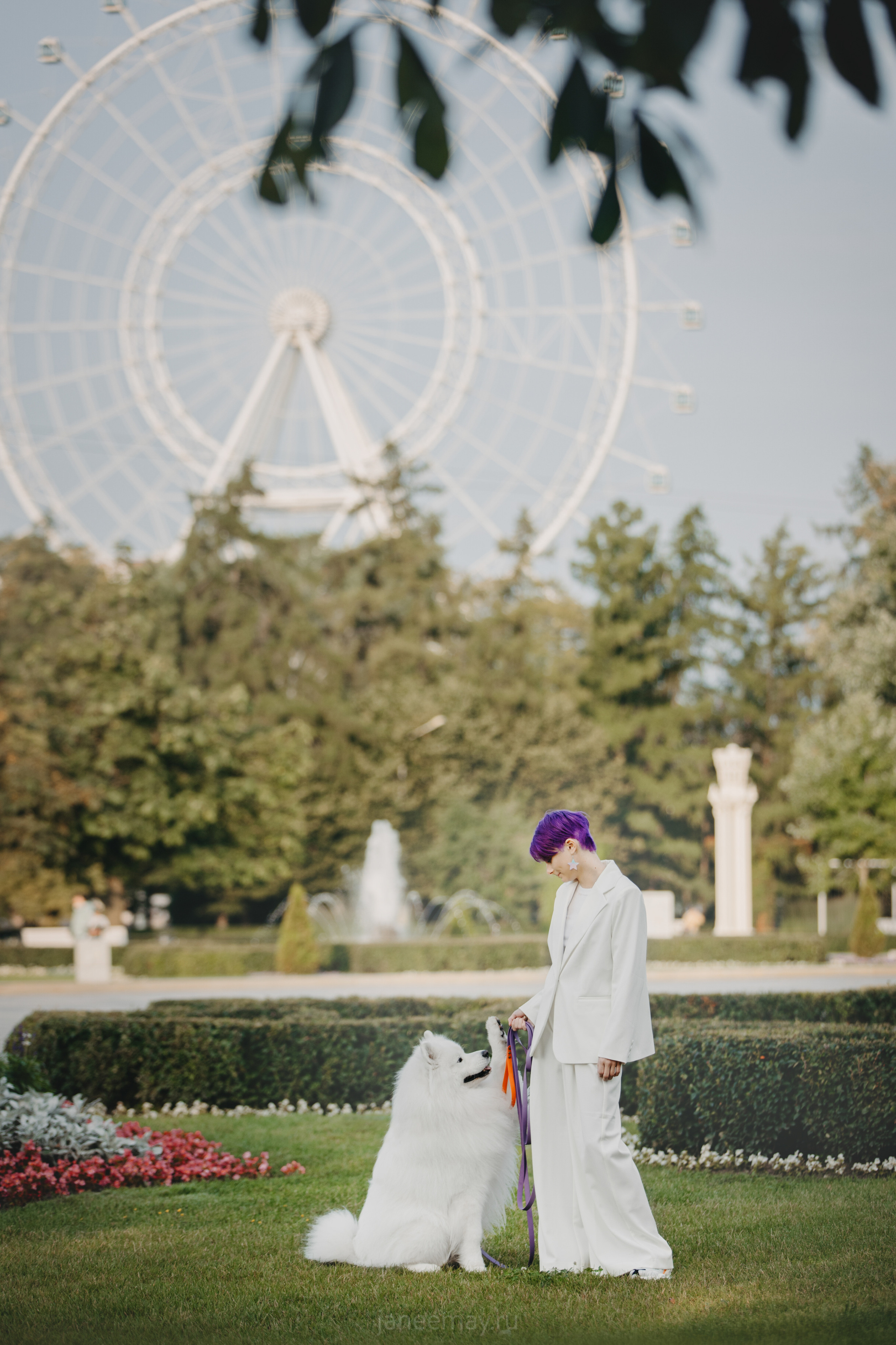 Дана, Никос, Теди и Люкс. Фотограф анималист в Москве Майорова Евгения