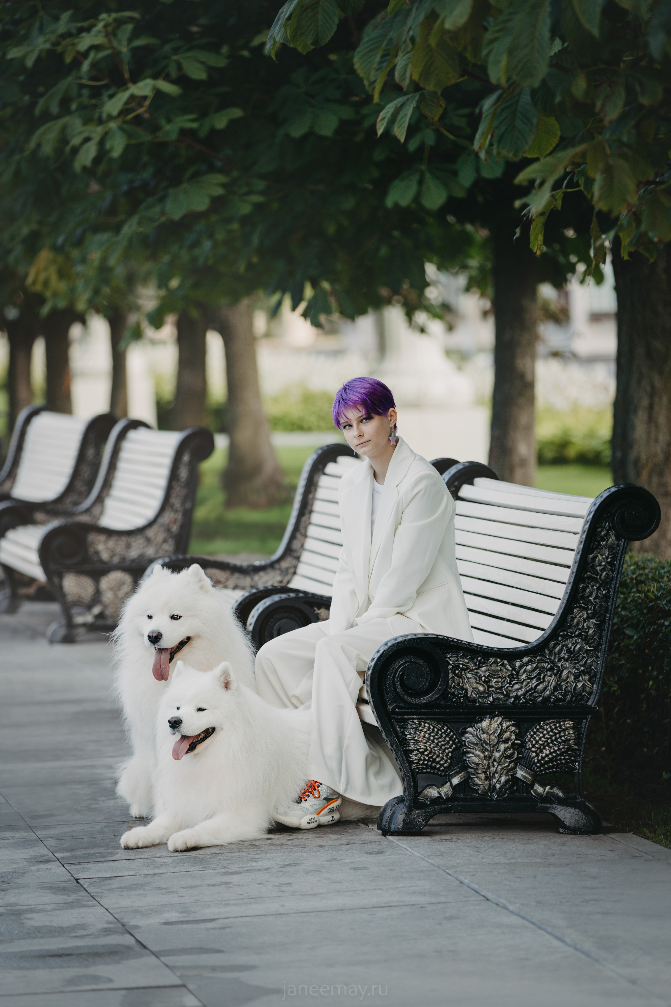 Дана, Никос, Теди и Люкс. Фотограф анималист в Москве Майорова Евгения