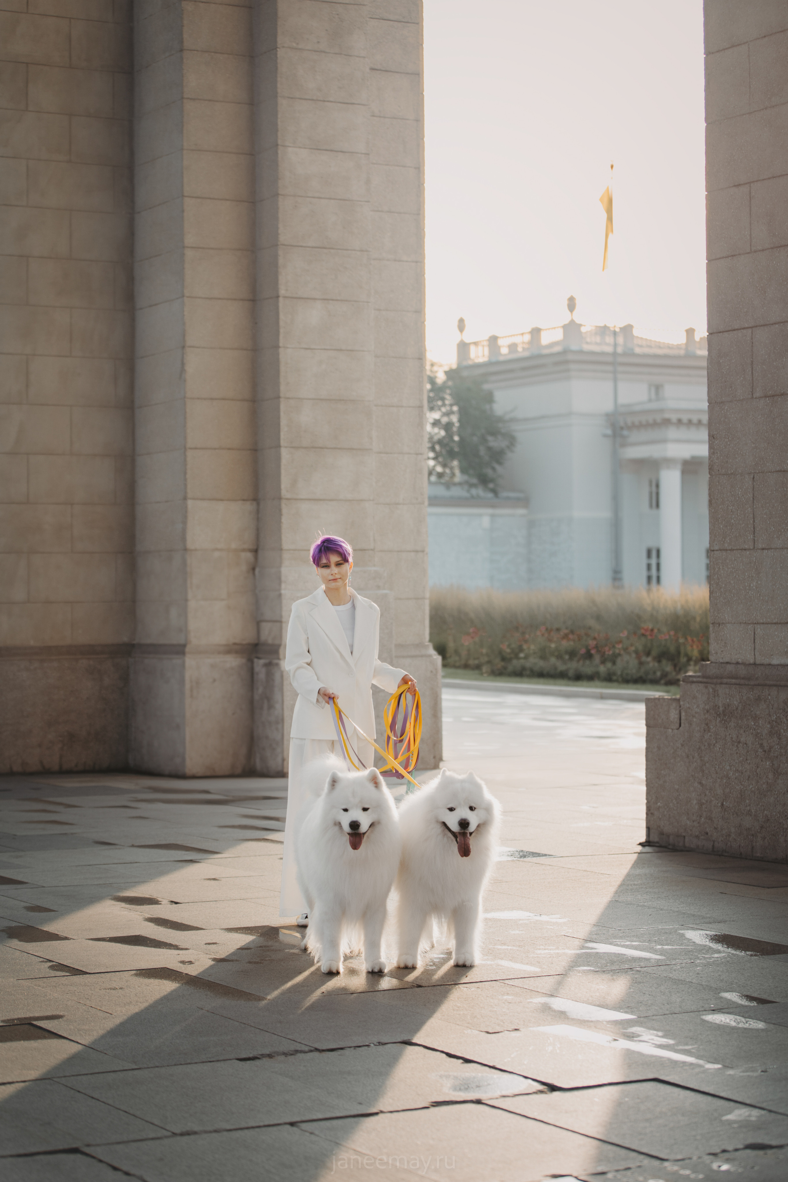 Дана, Никос, Теди и Люкс. Фотограф анималист в Москве Майорова Евгения