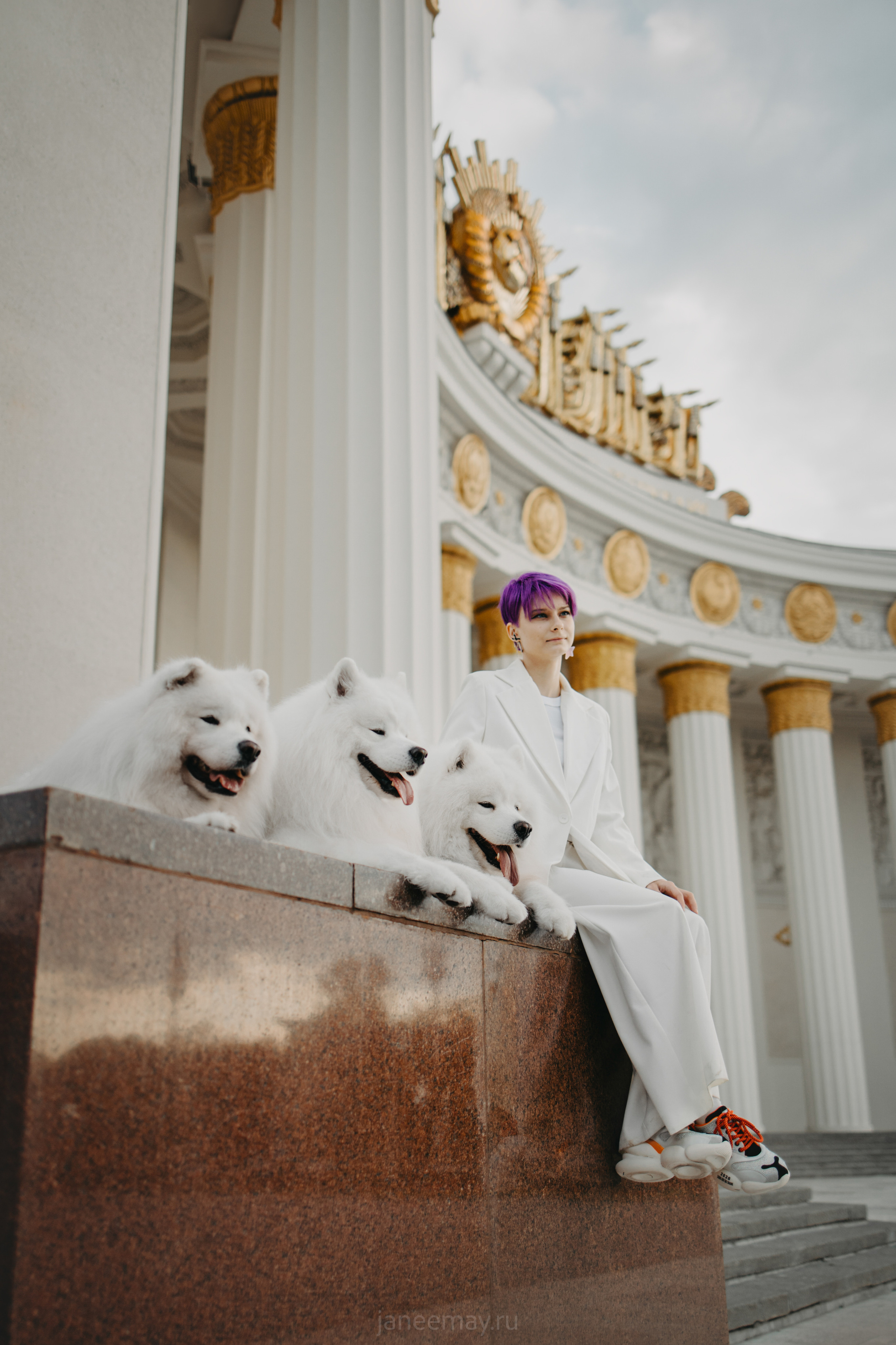 Дана, Никос, Теди и Люкс. Фотограф анималист в Москве Майорова Евгения