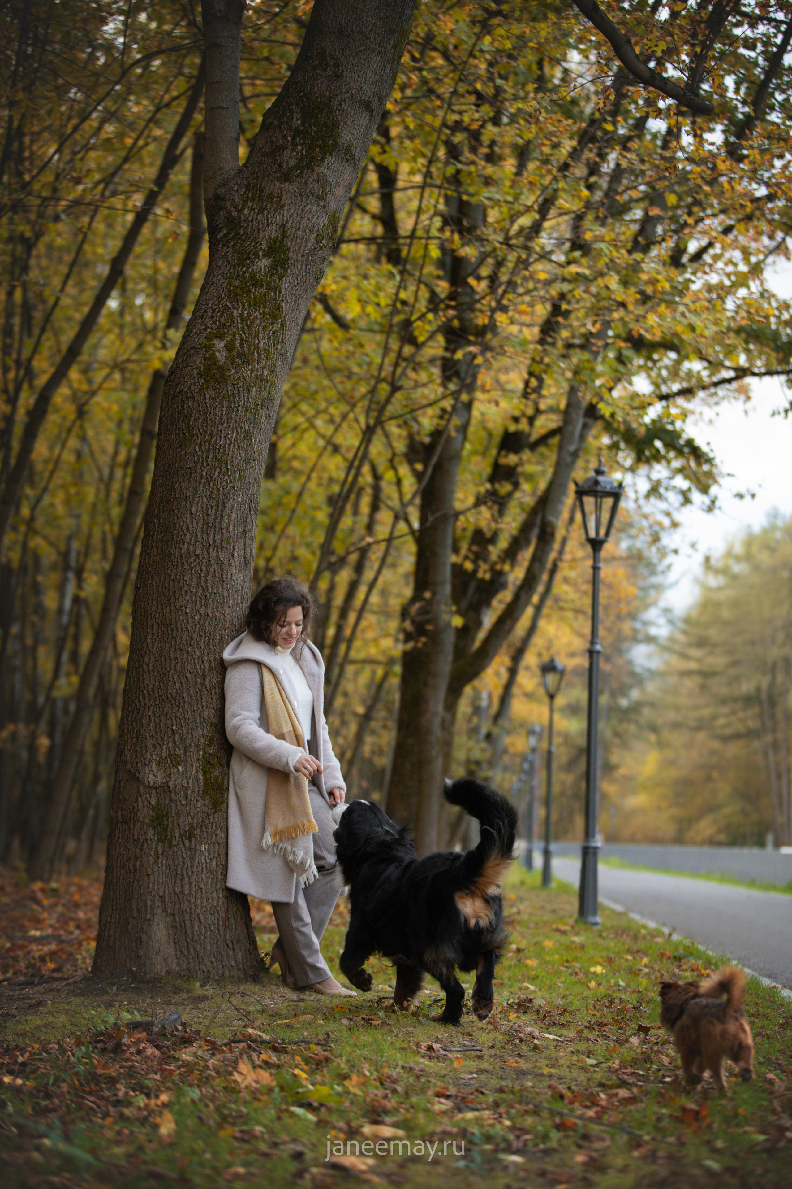 Ирина, Сергей и Твикси. Фотограф анималист в Москве Майорова Евгения