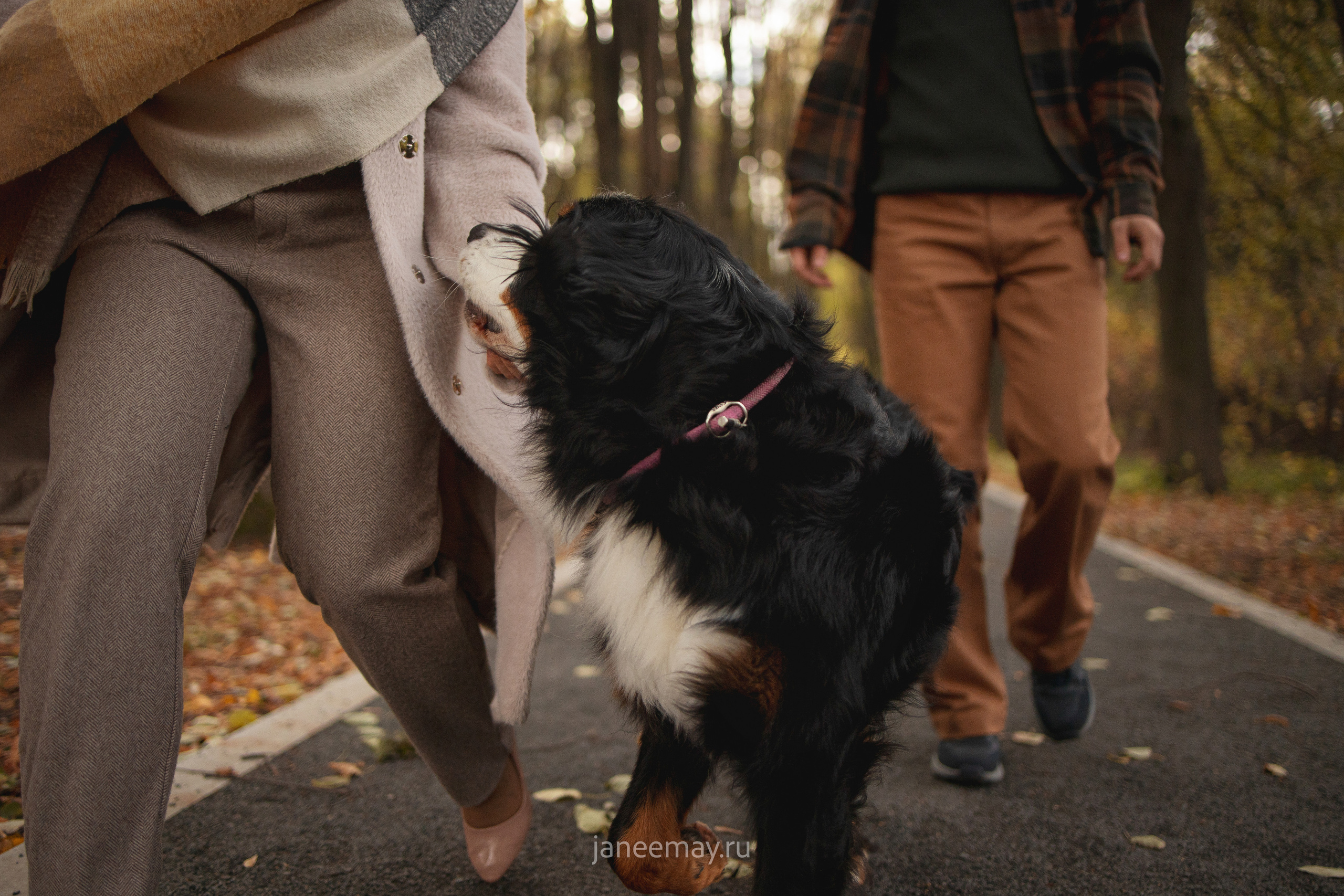 Ирина, Сергей и Твикси. Фотограф анималист в Москве Майорова Евгения