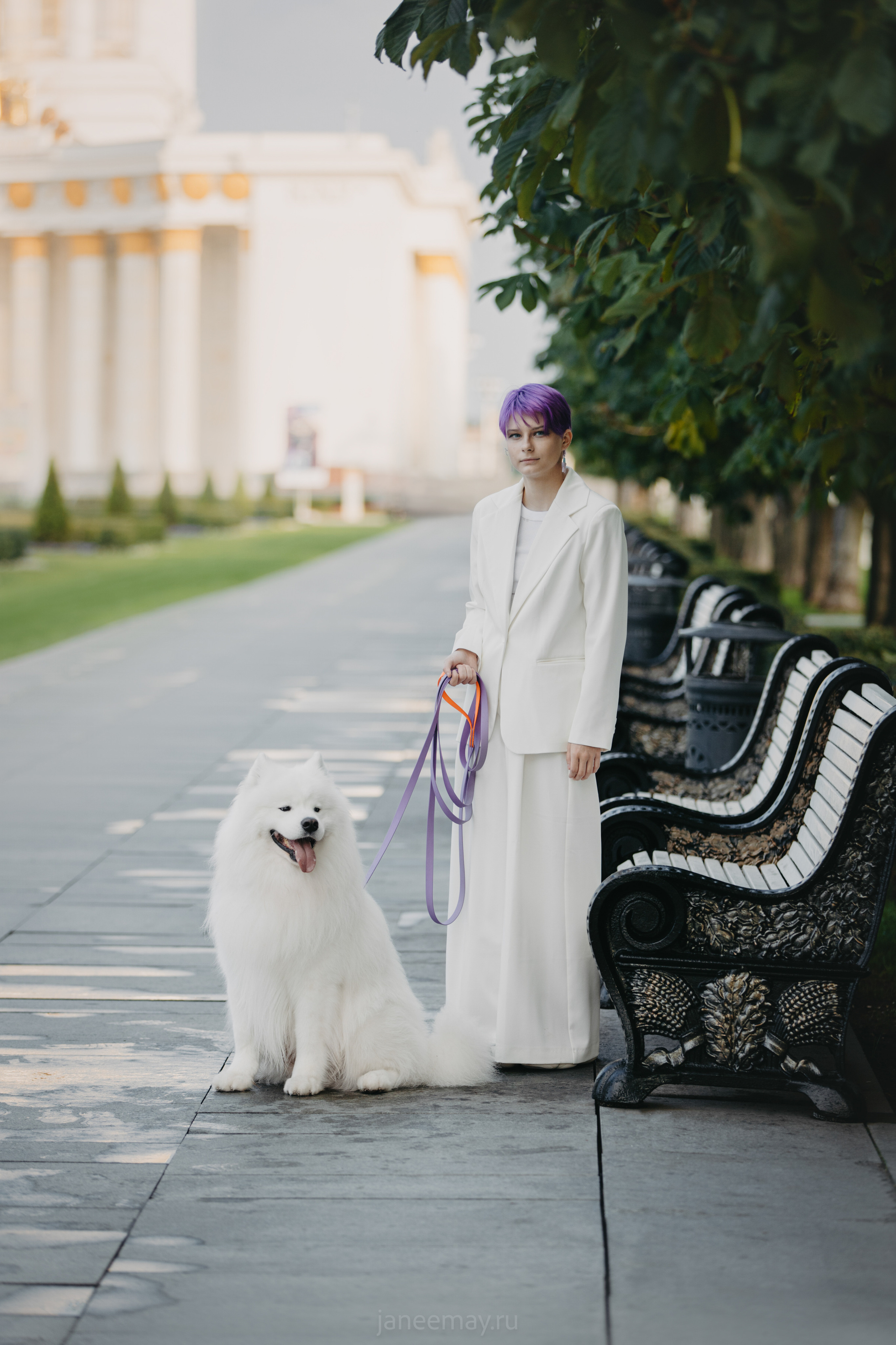 Дана, Никос, Теди и Люкс. Фотограф анималист в Москве Майорова Евгения