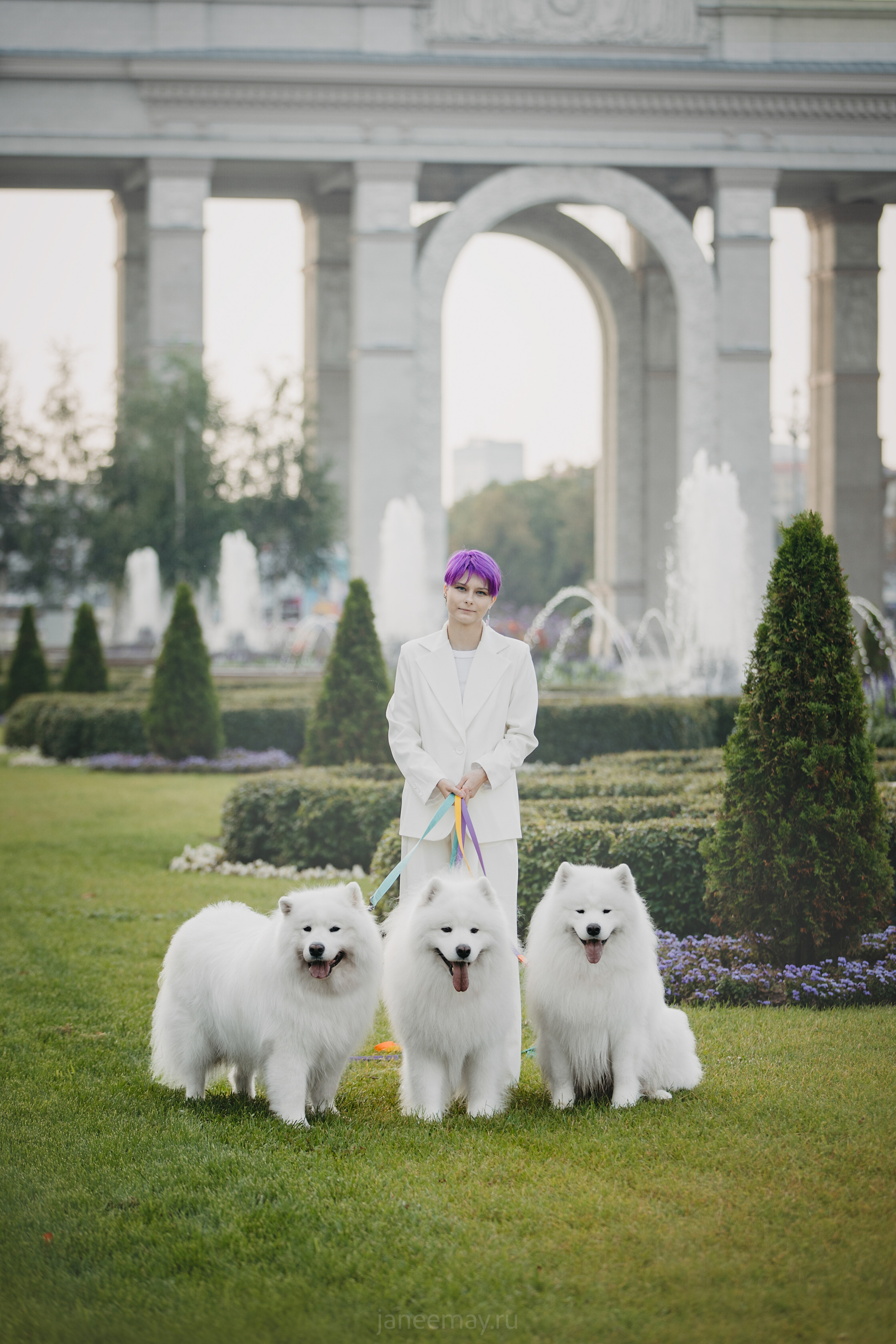 Дана, Никос, Теди и Люкс. Фотограф анималист в Москве Майорова Евгения