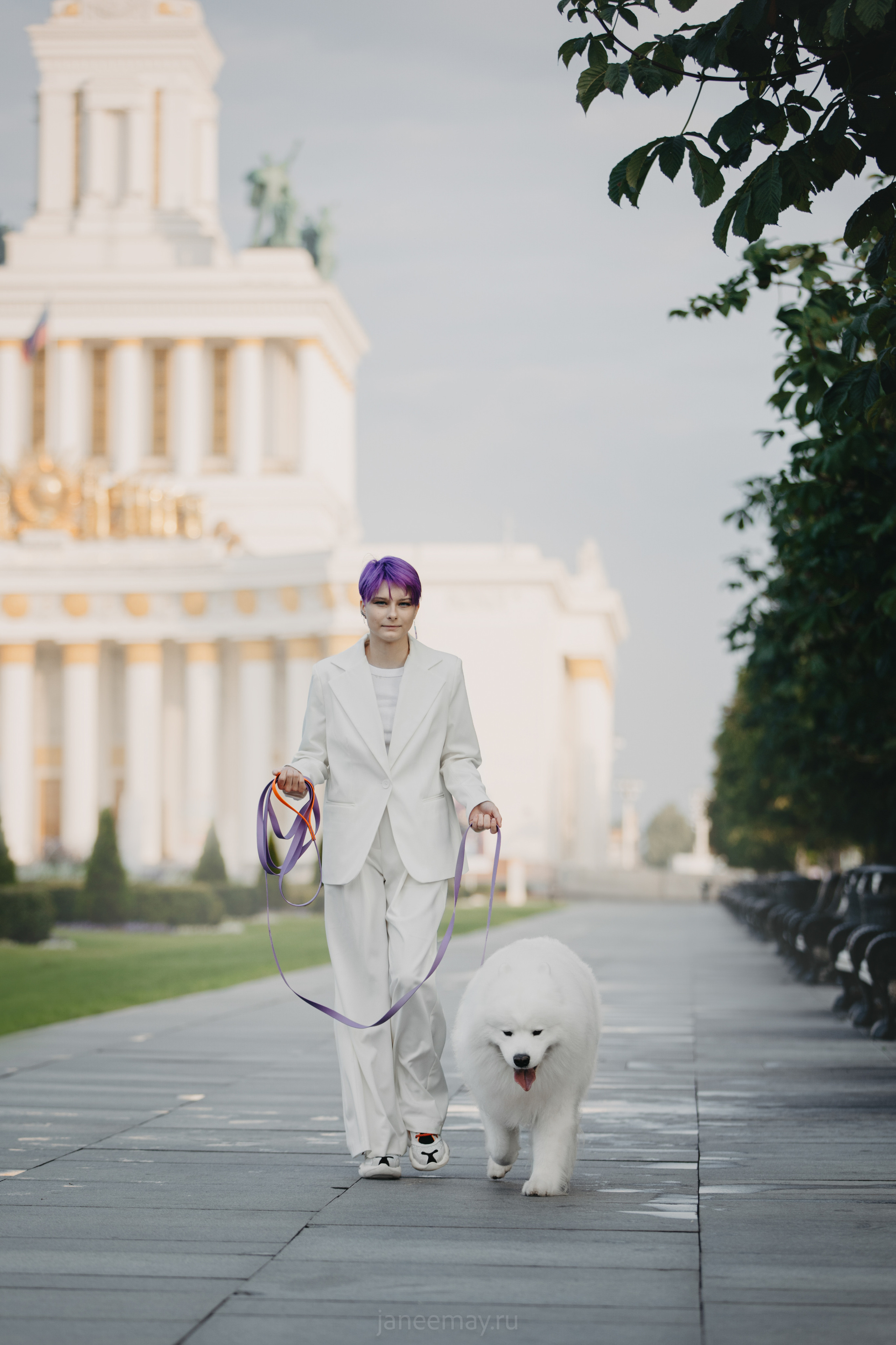 Дана, Никос, Теди и Люкс. Фотограф анималист в Москве Майорова Евгения